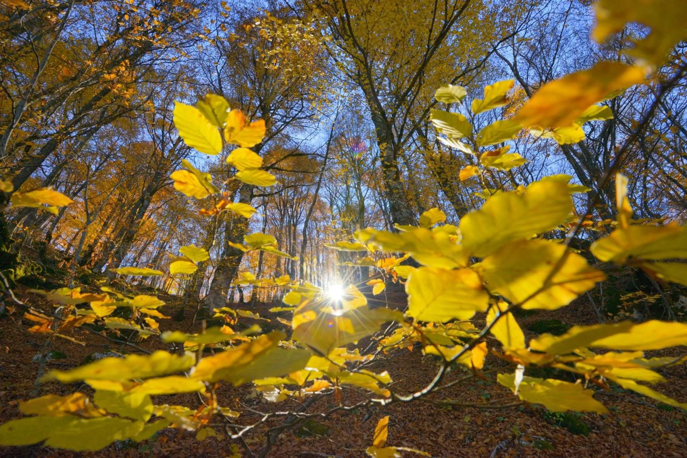 Nearby landmark in HOTEL HOLIDAYS a Barrea - Natura, Relax e Benessere nel Parco d'Abruzzo