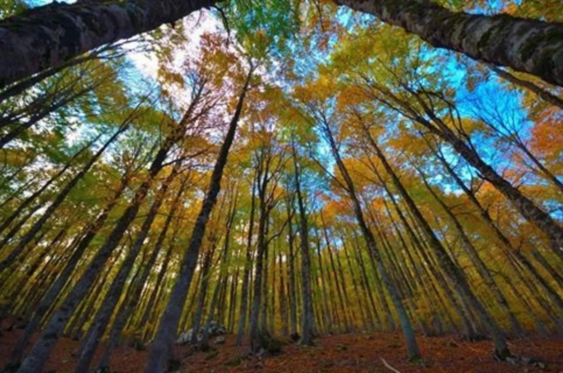 Natural landscape in HOTEL HOLIDAYS a Barrea - Natura, Relax e Benessere nel Parco d'Abruzzo