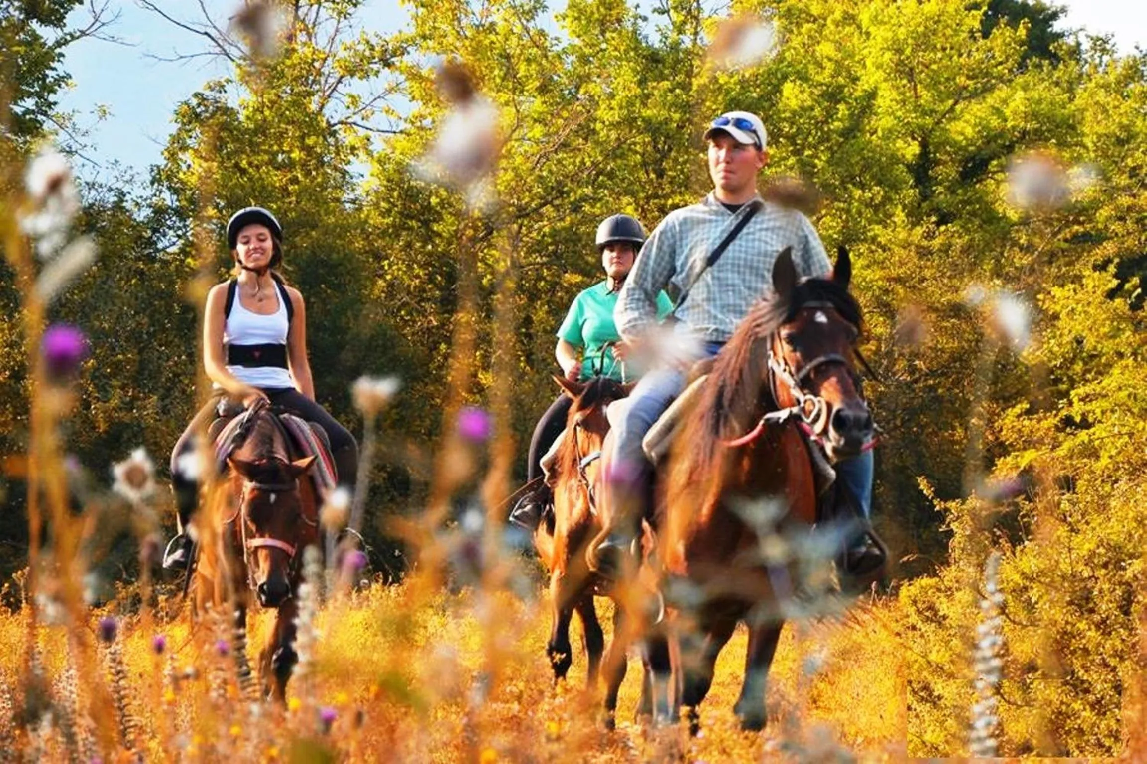 Nearby landmark in HOTEL HOLIDAYS a Barrea - Natura, Relax e Benessere nel Parco d'Abruzzo