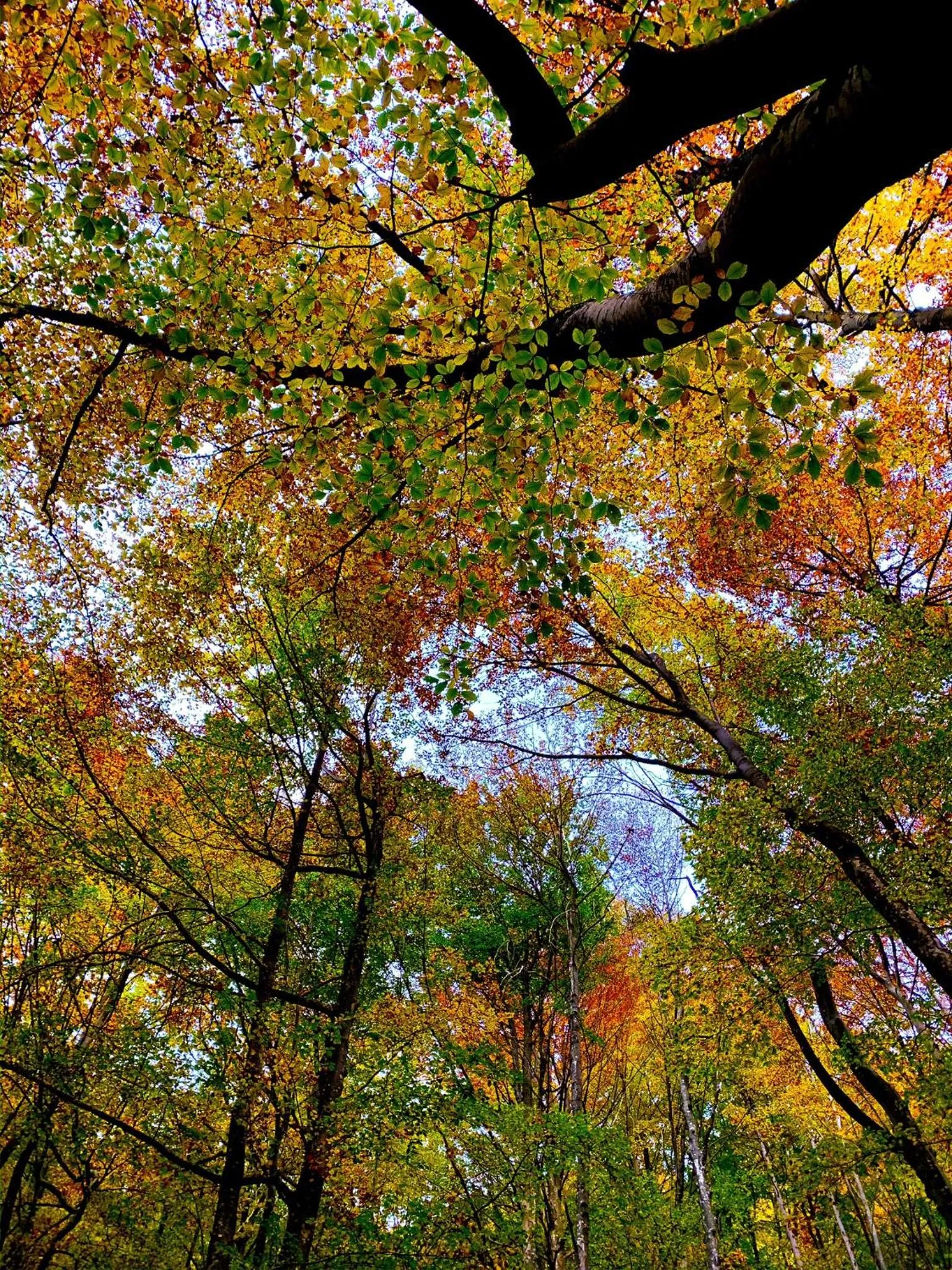 Nearby landmark in HOTEL HOLIDAYS a Barrea - Natura, Relax e Benessere nel Parco d'Abruzzo