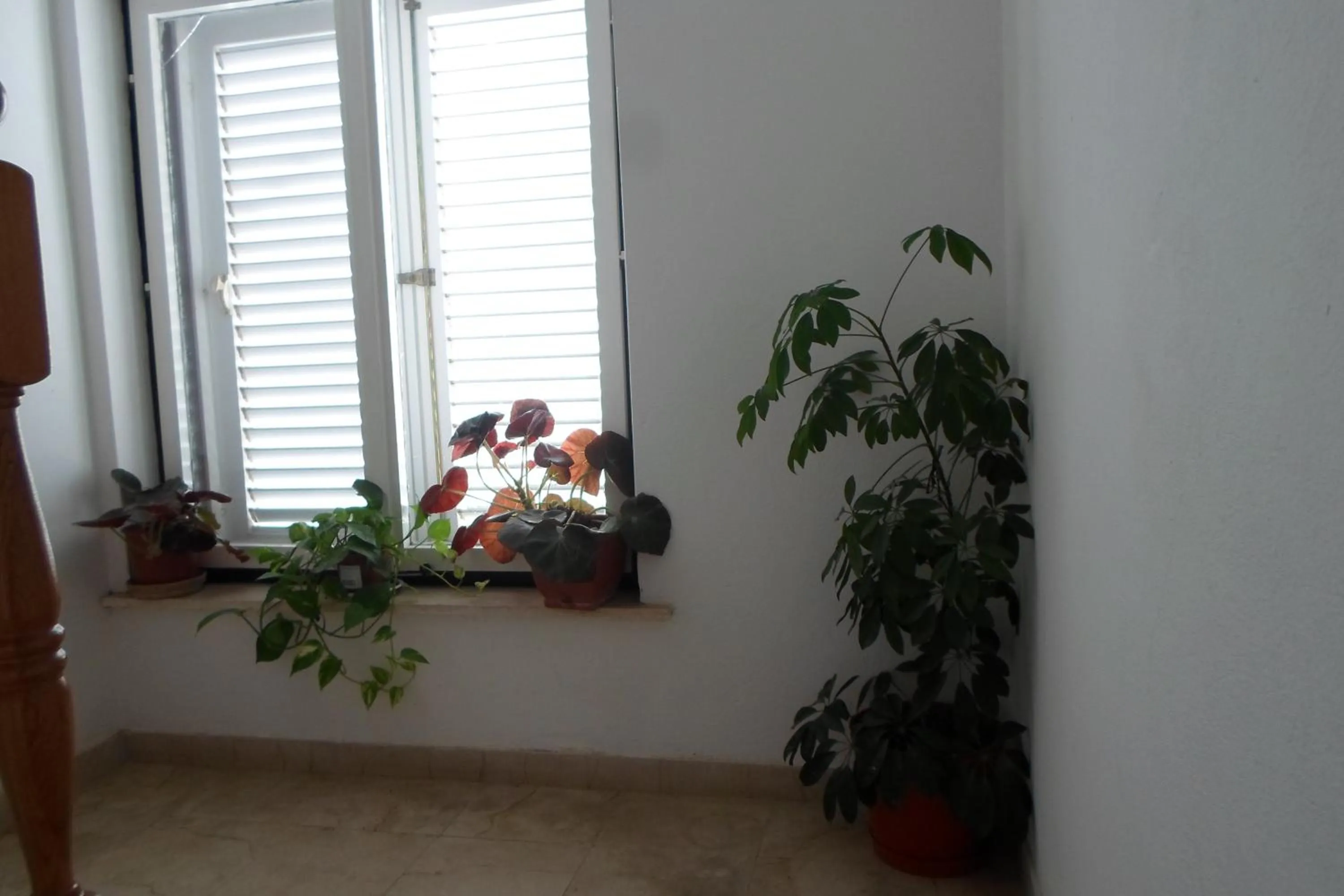 Other in Pansion Lovac