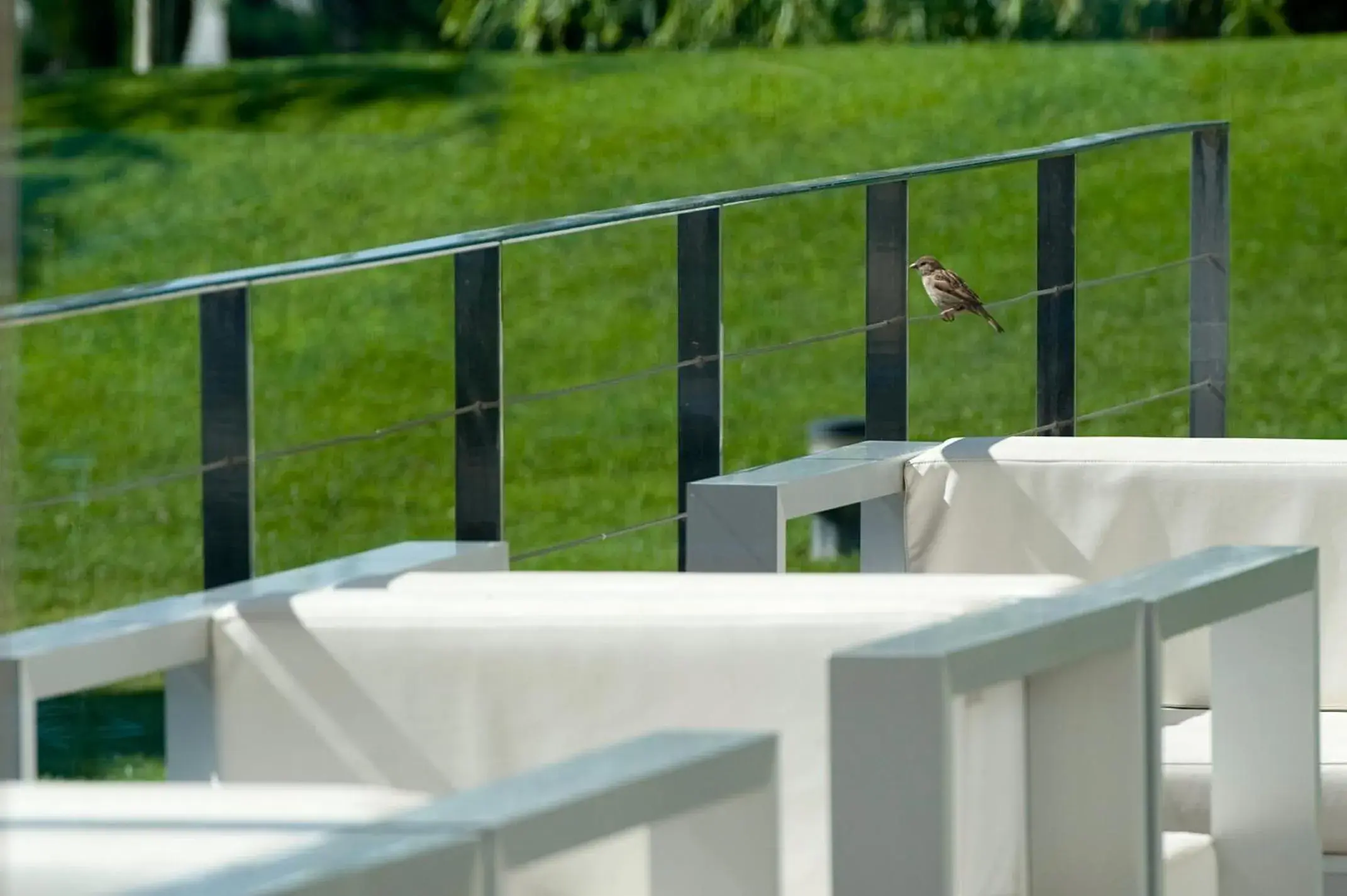 Garden view in Finca Prats Hotel Golf & Spa Garden view in Finca Prats Hotel Golf & Spa