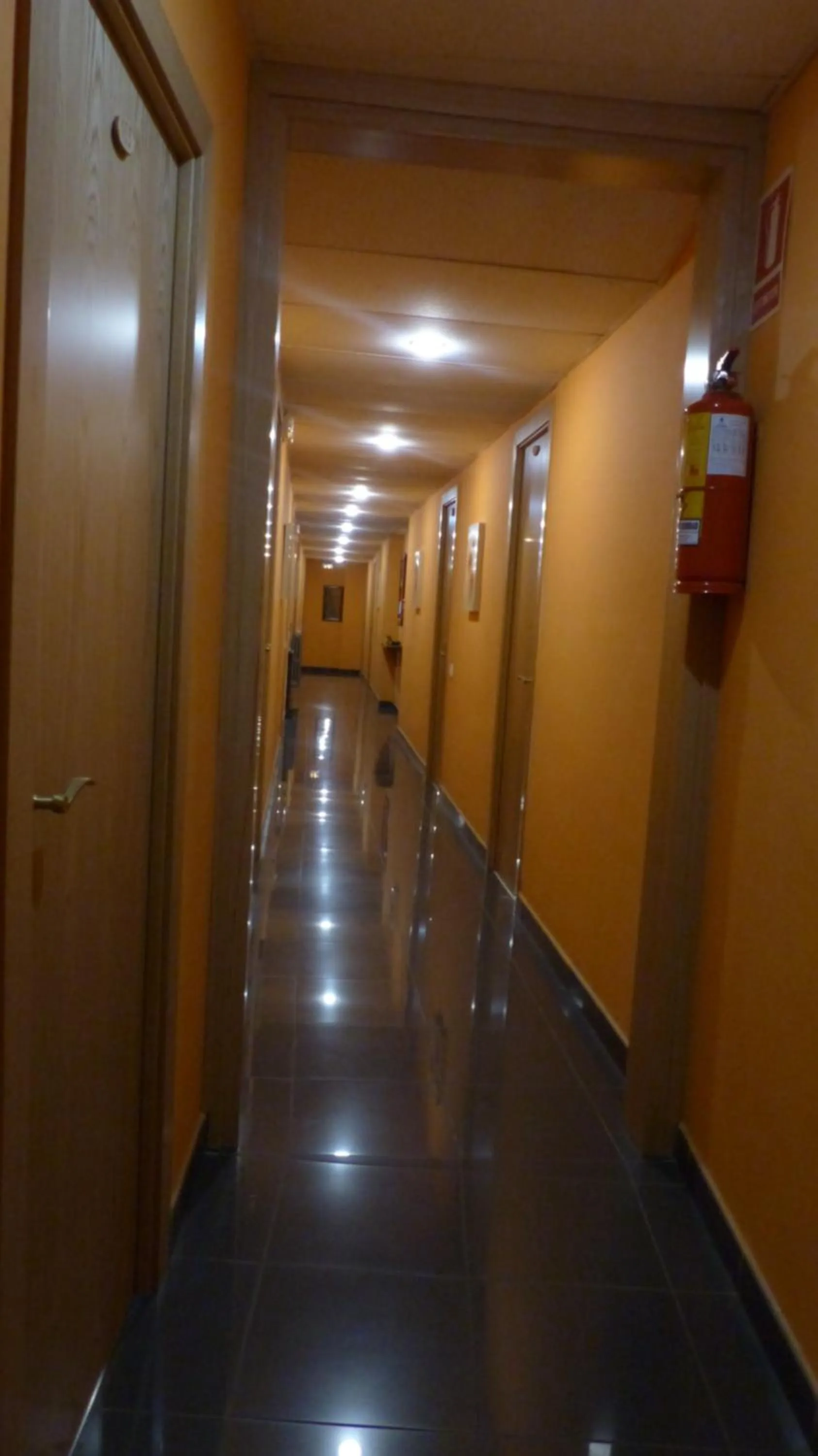 Area and facilities in Hotel Vall d´Aneu