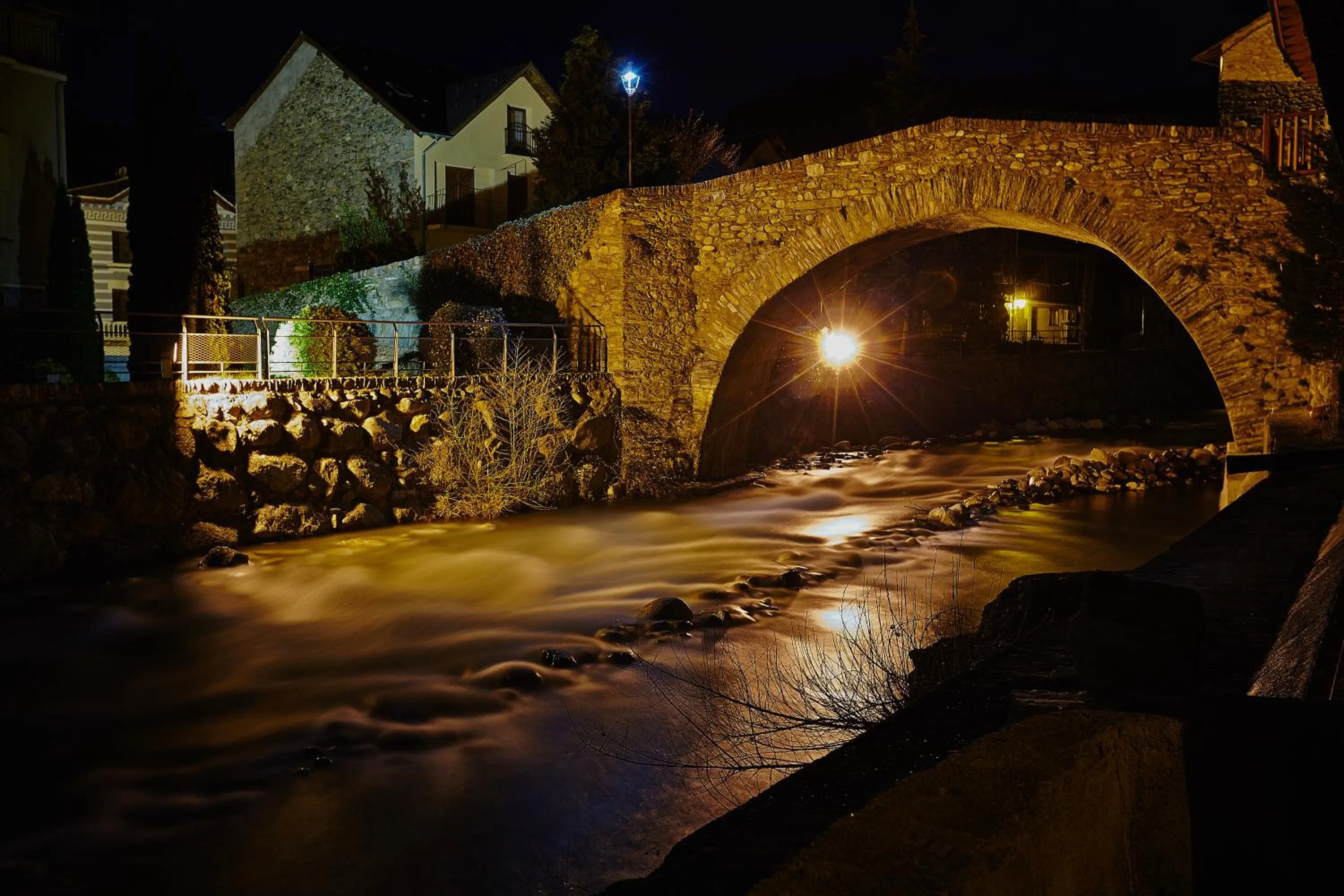 Lake view in Hotel Vall d´Aneu