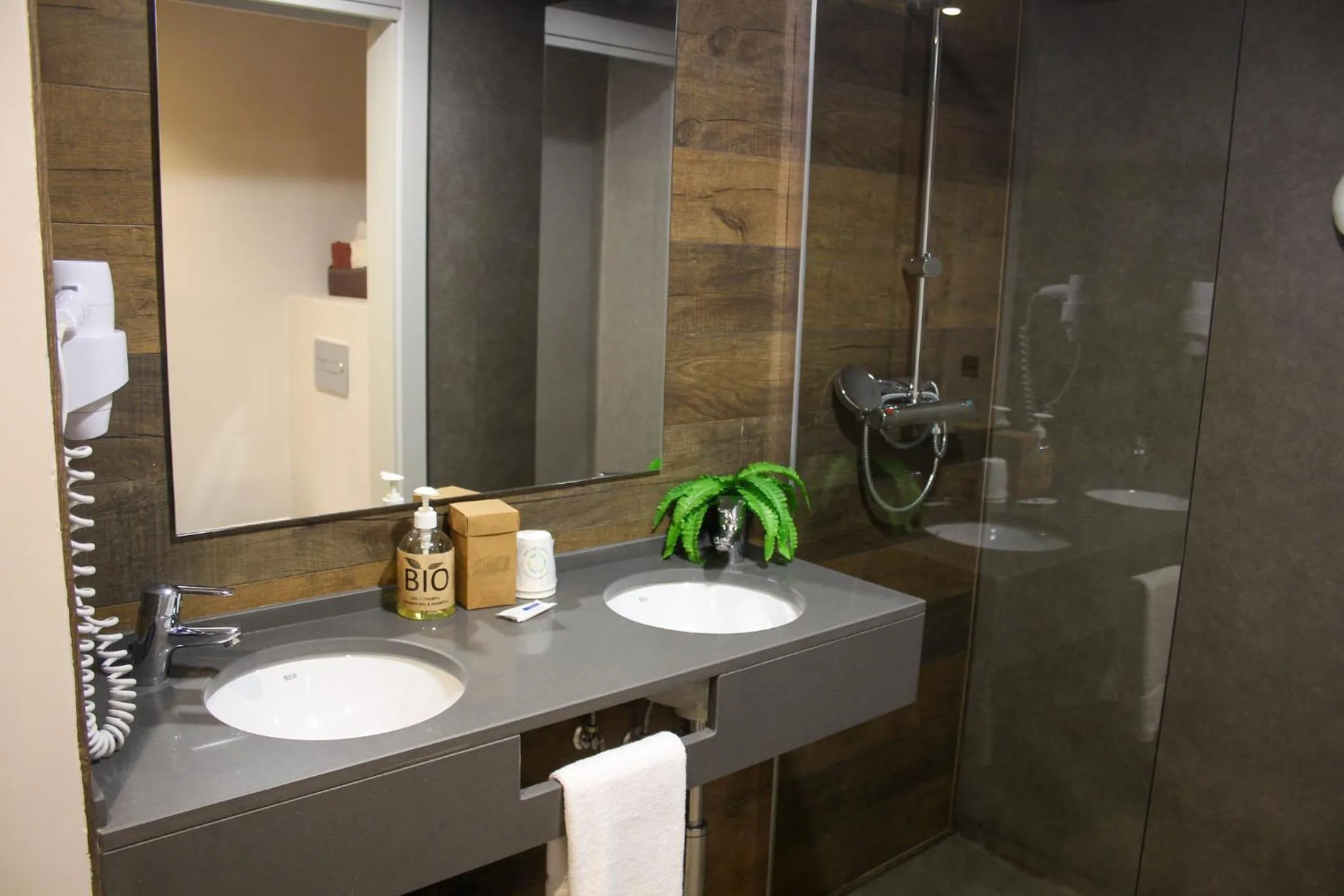 Shower in Hotel Vall d´Aneu