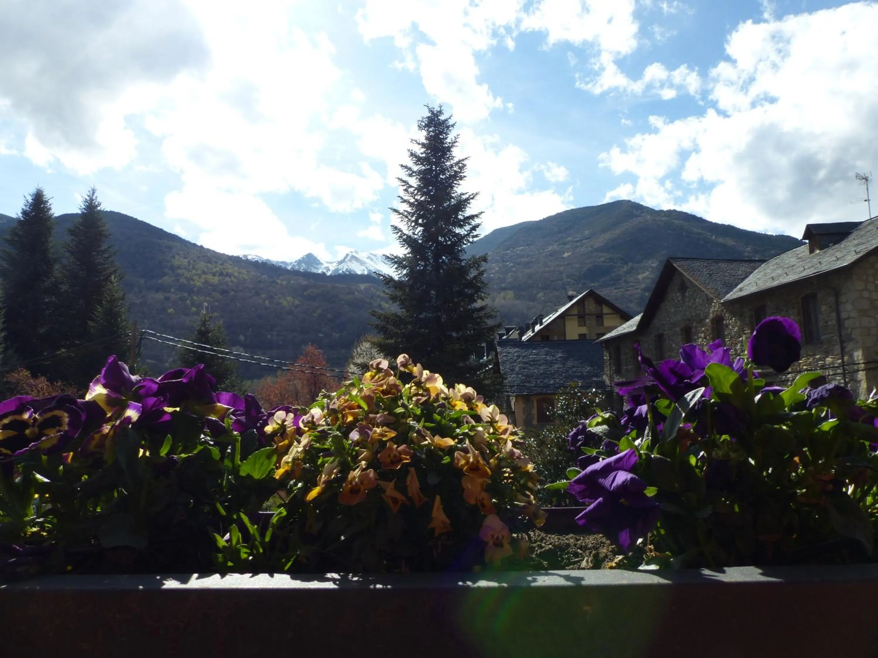 Mountain view in Hotel Vall d´Aneu