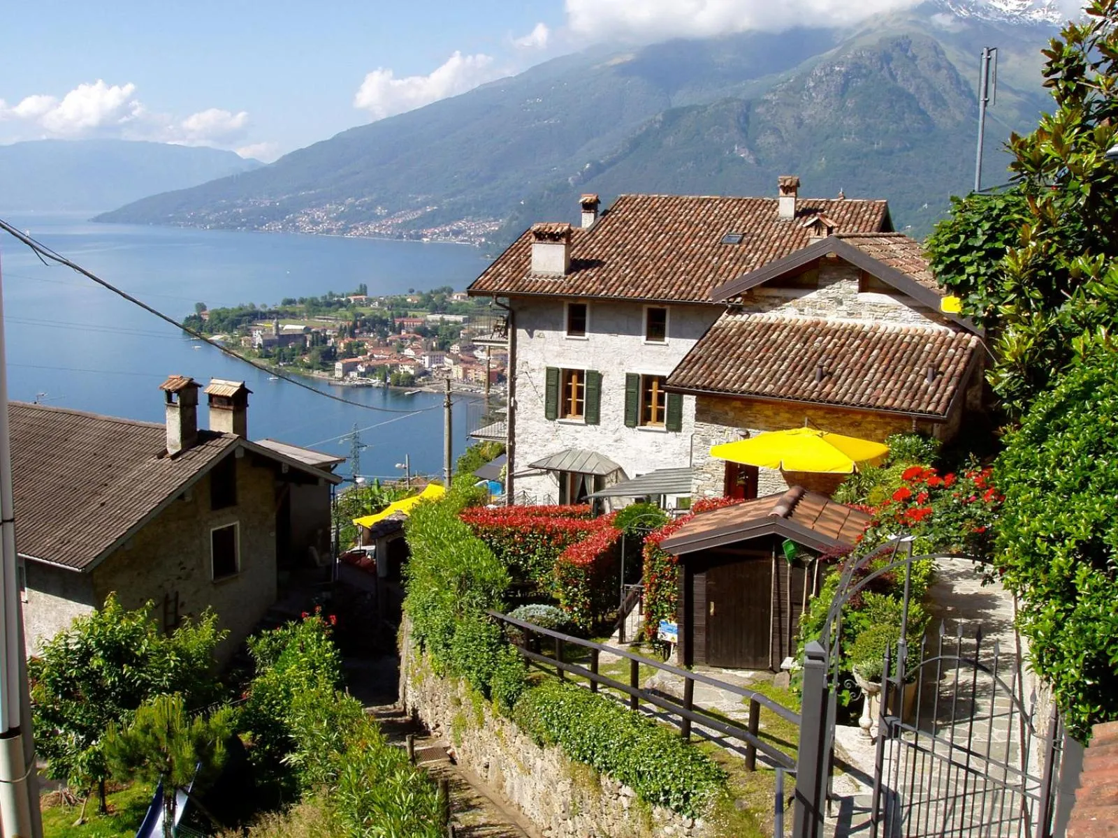 Property building in Barolo