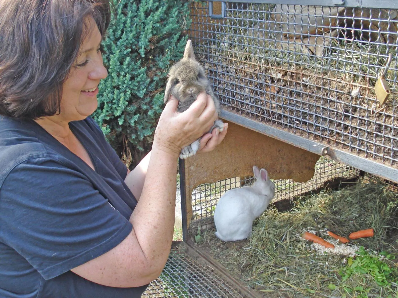 Pets in Barolo