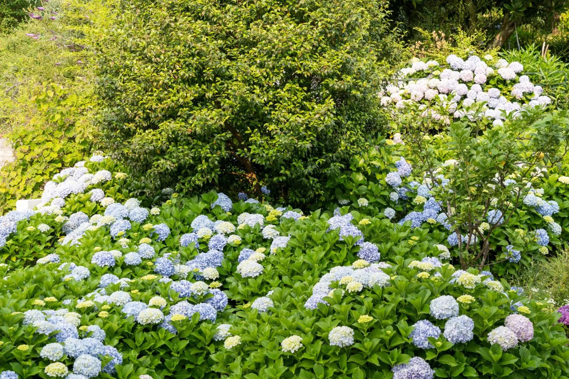Garden view in Hotel Alda Vía Norte