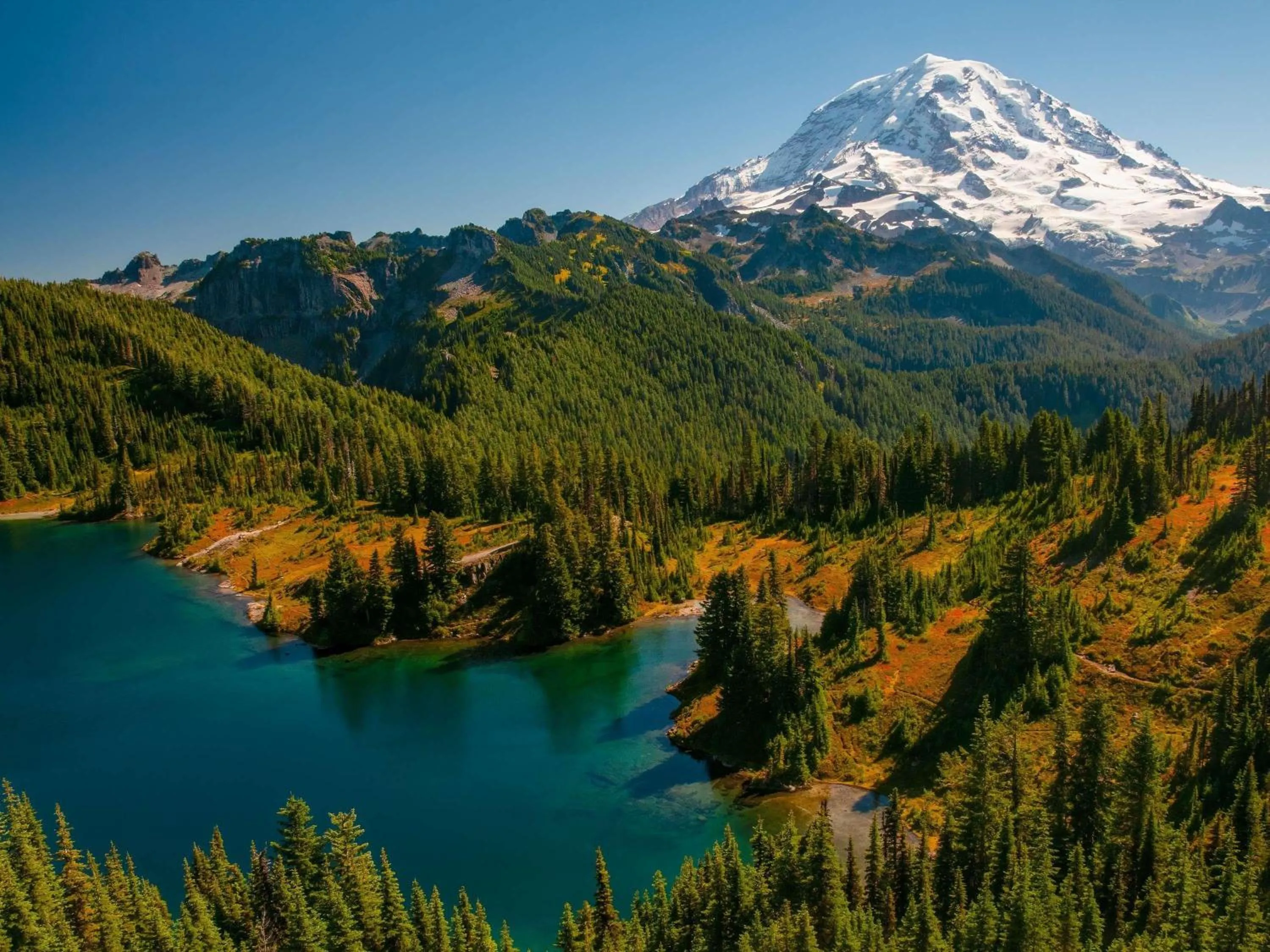 Pool view in Fairmont Olympic Hotel