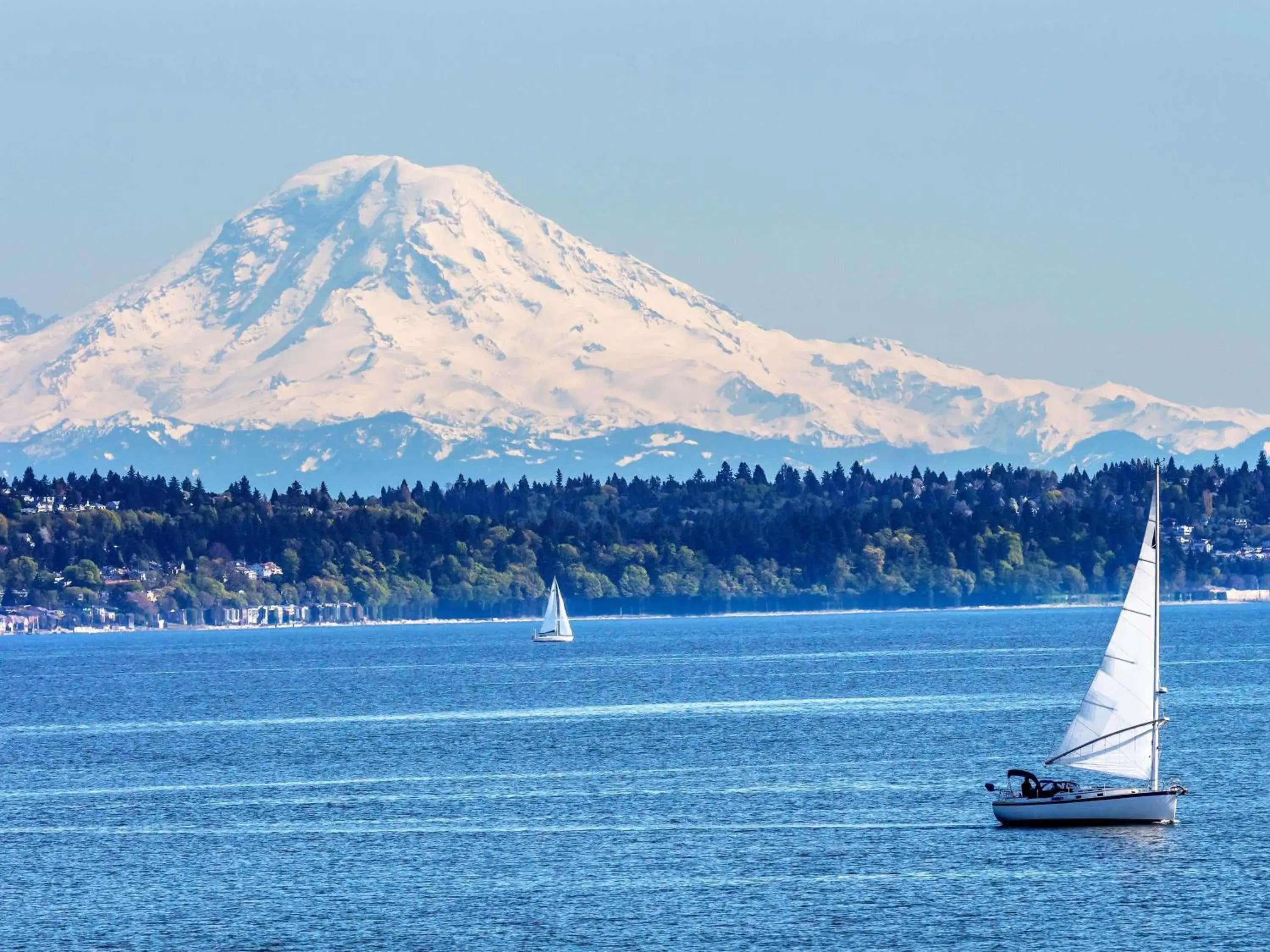 Pool view in Fairmont Olympic Hotel Pool view in Fairmont Olympic Hotel