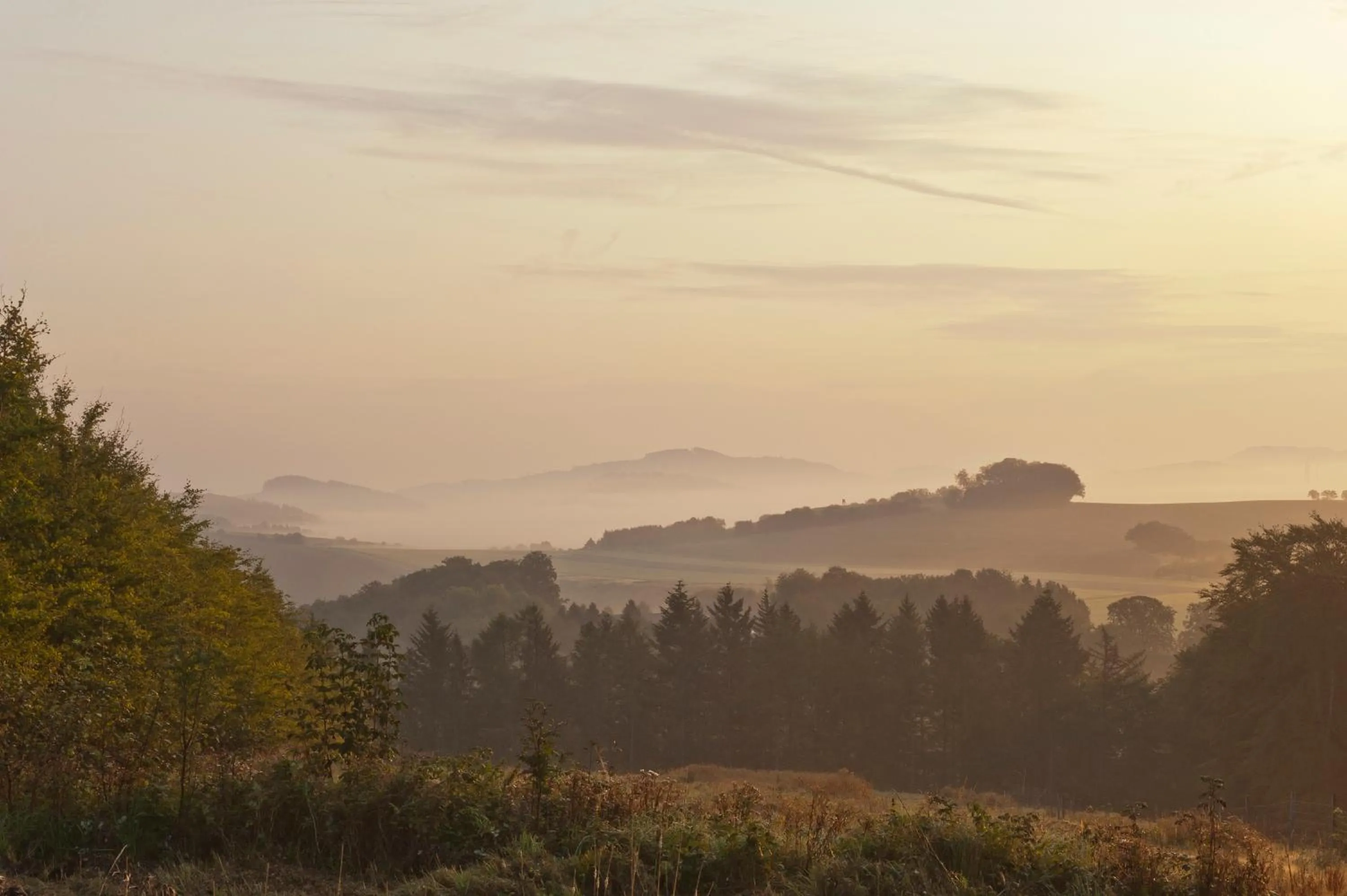 Natural landscape in Landhotel Donner