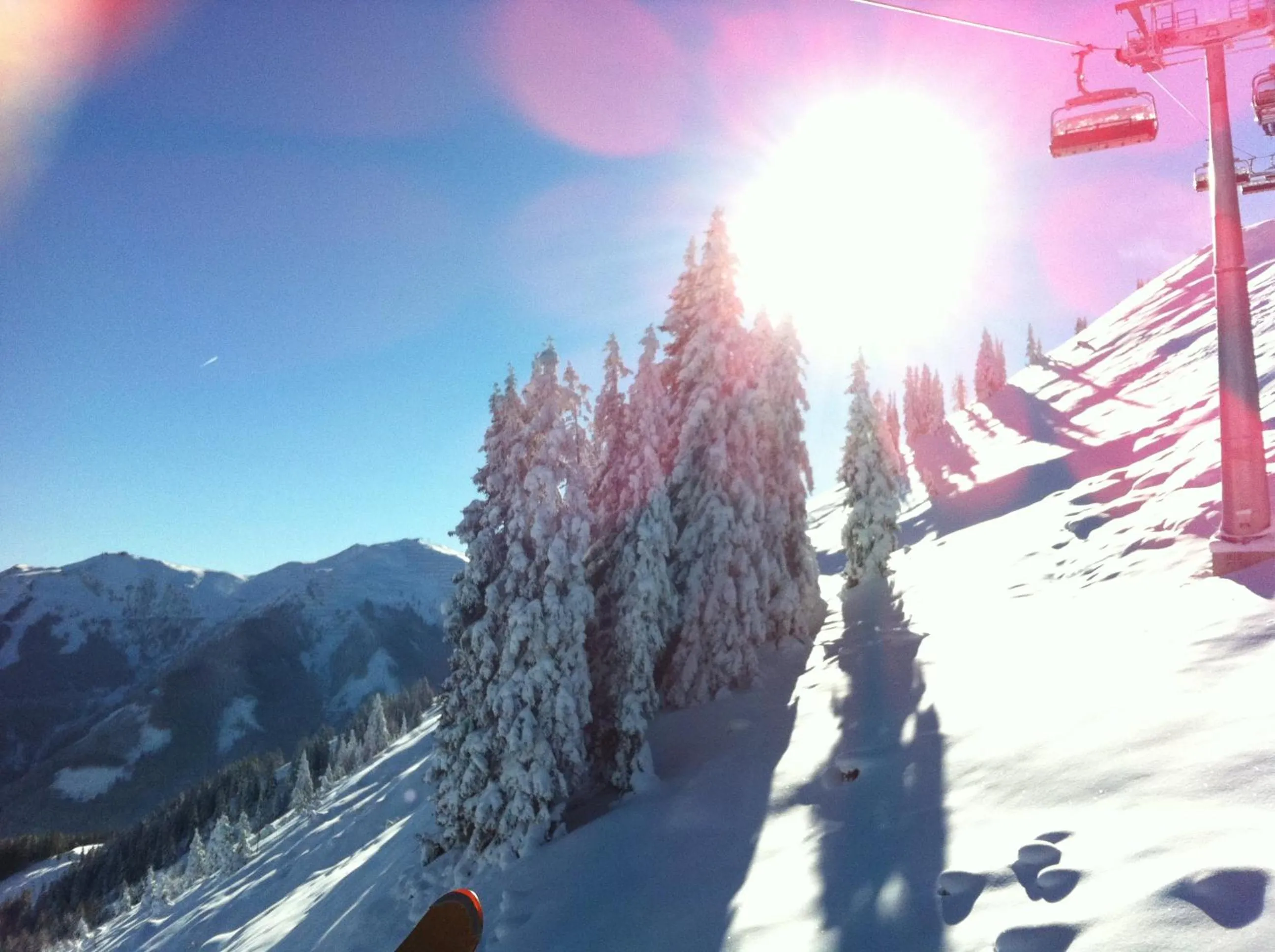 Area and facilities in eva,GARDEN