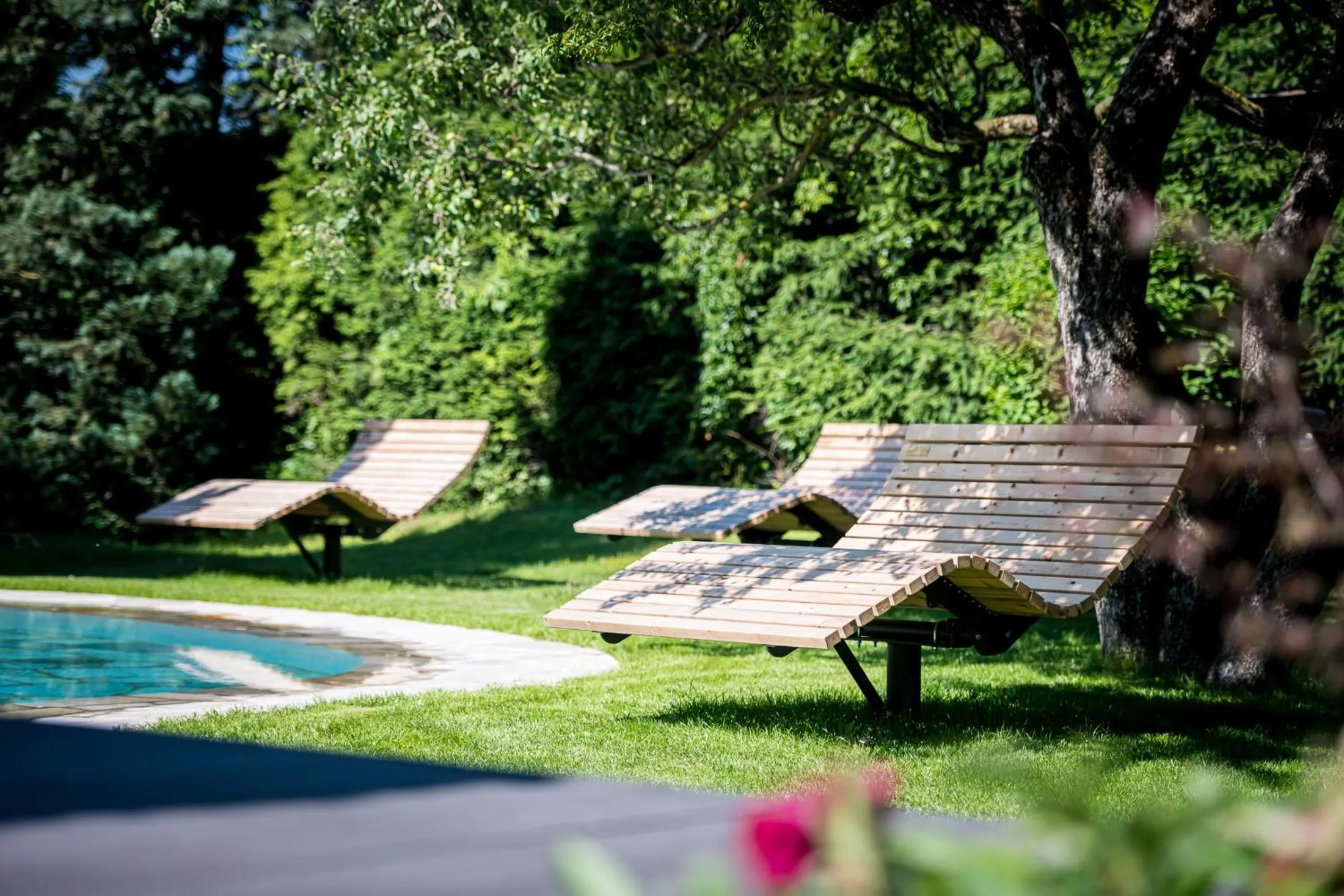 Spring in Hotel ANDER