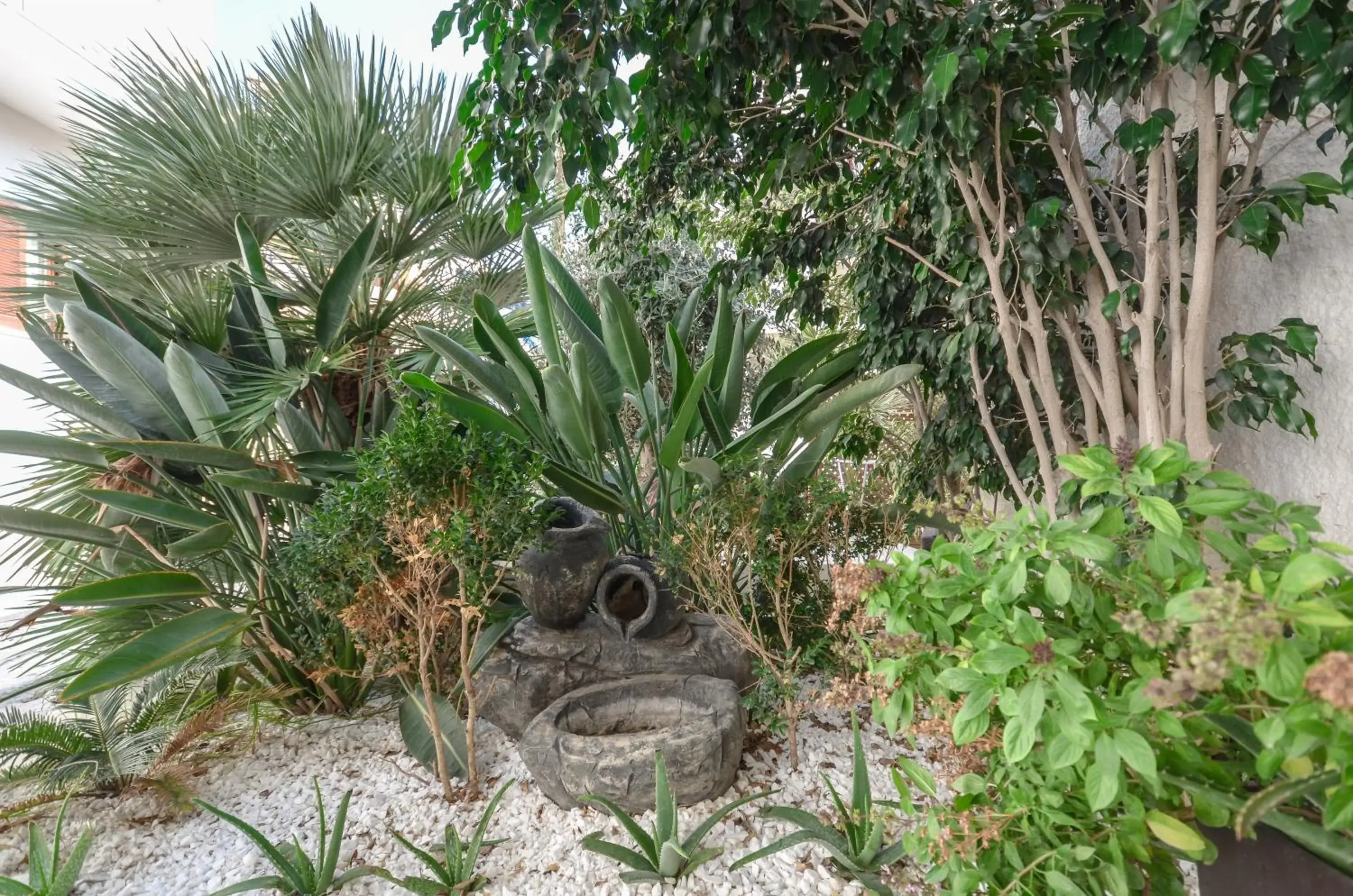 Garden view in Aeolis Boutique Hotel Garden view in Aeolis Boutique Hotel