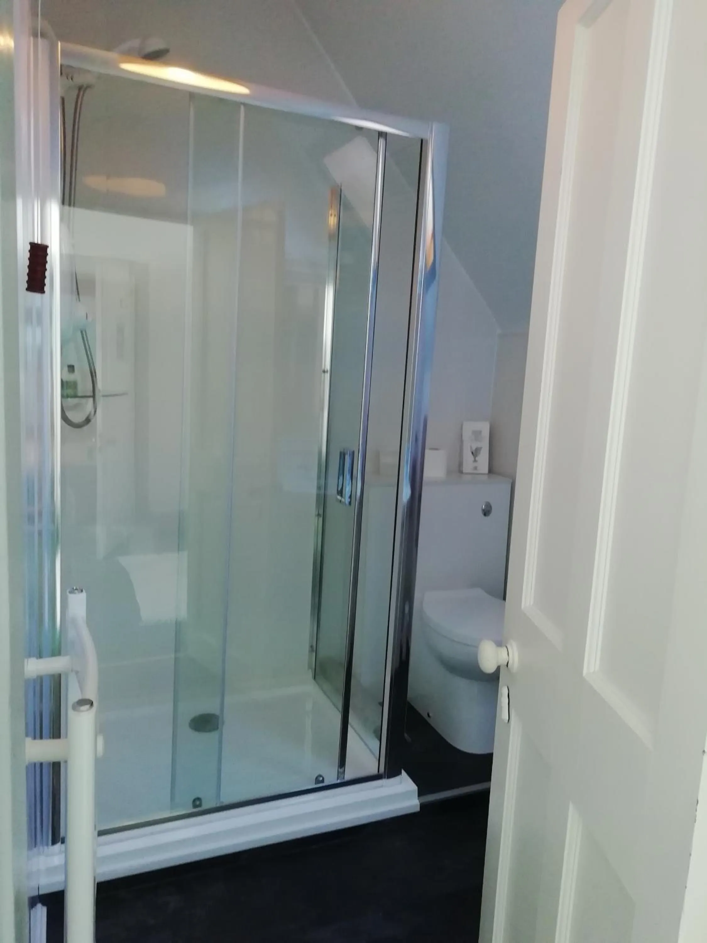 Shower in Argyle Guest House