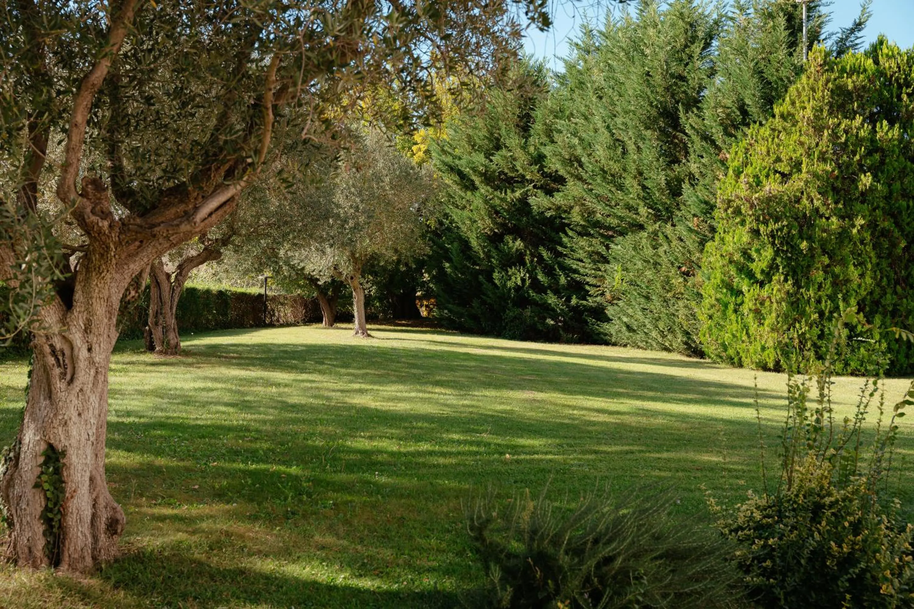 Garden in Hotel Federico II