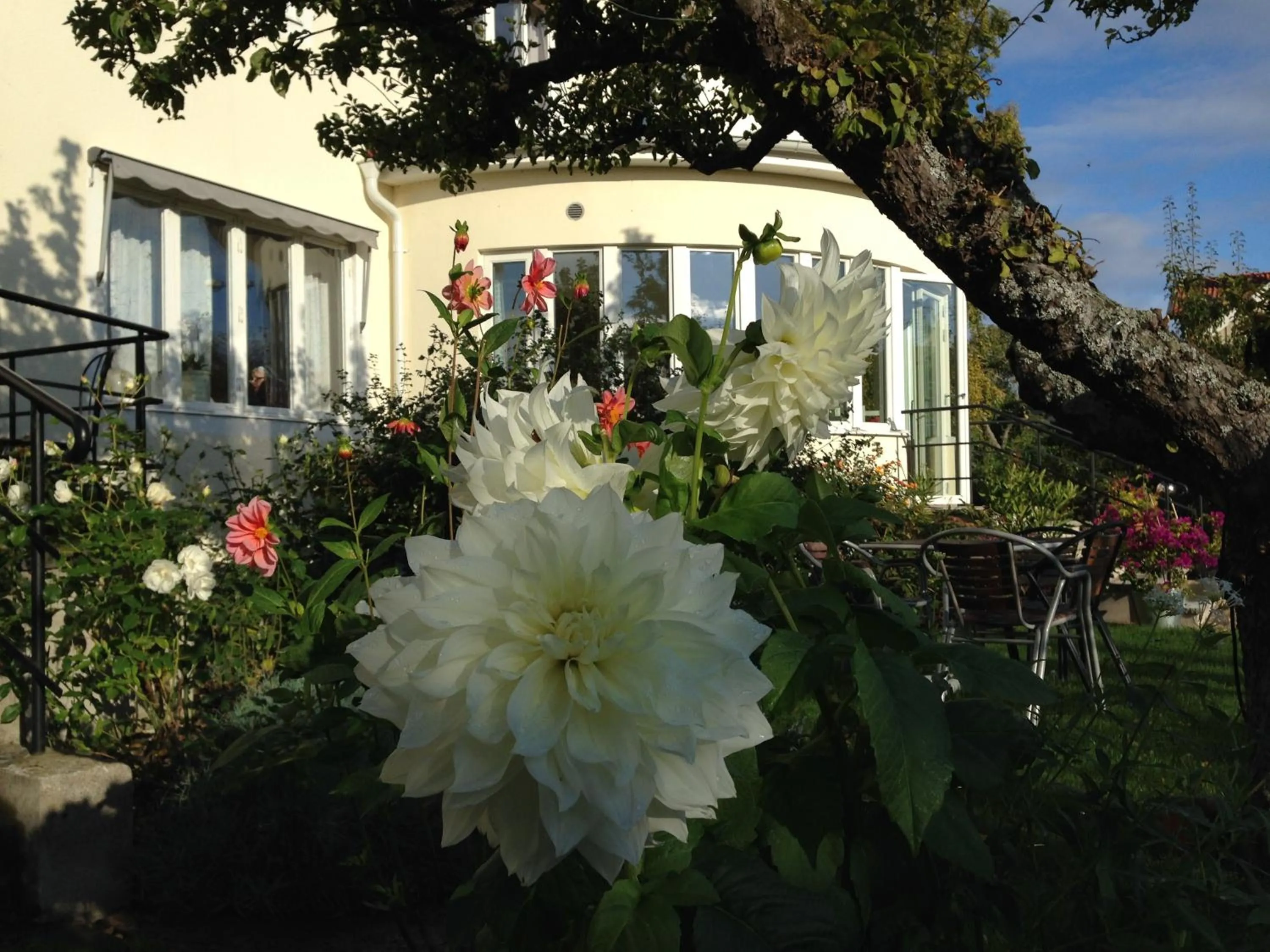 Garden view in Villa Ingrid