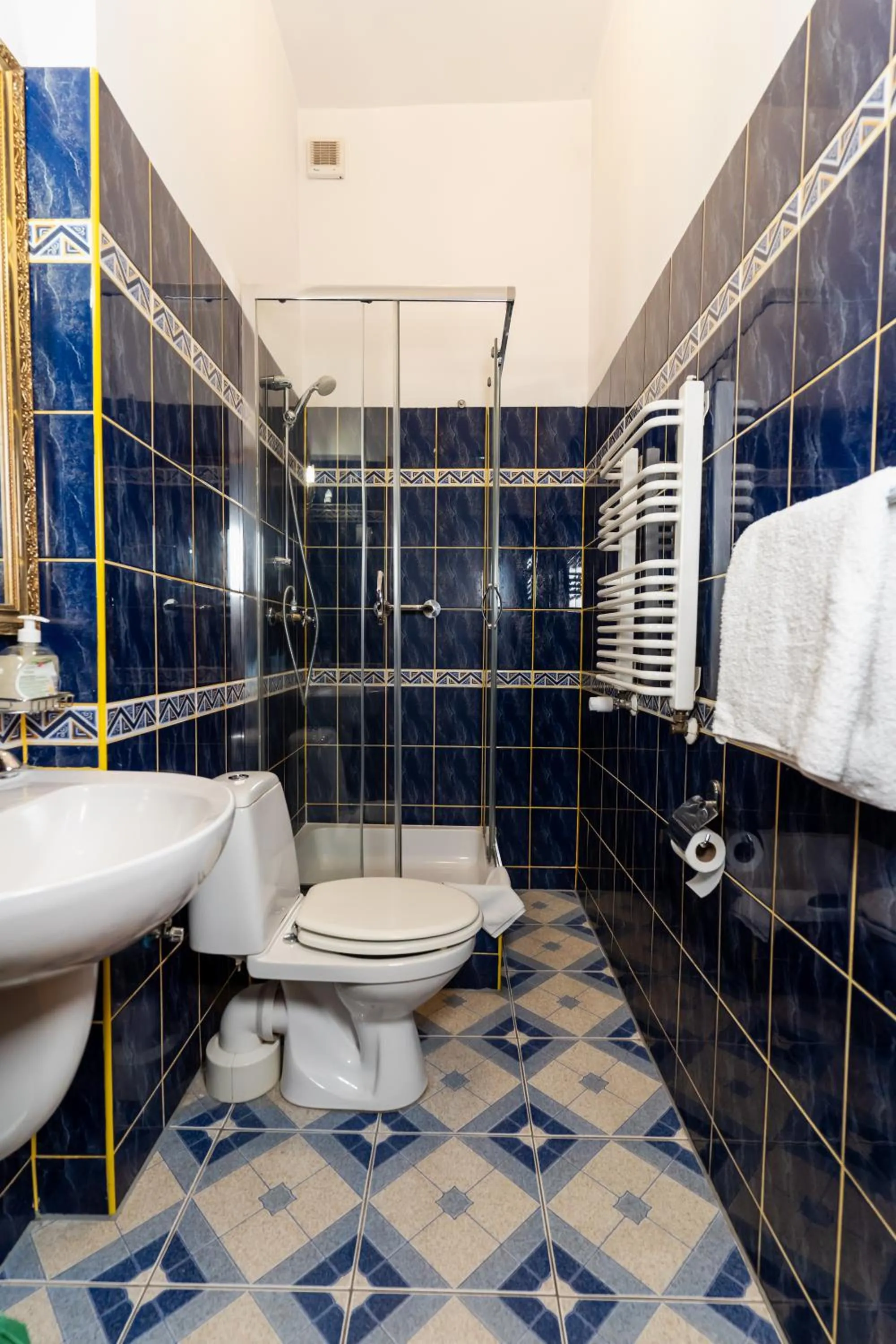 Bathroom in Hotel Europa