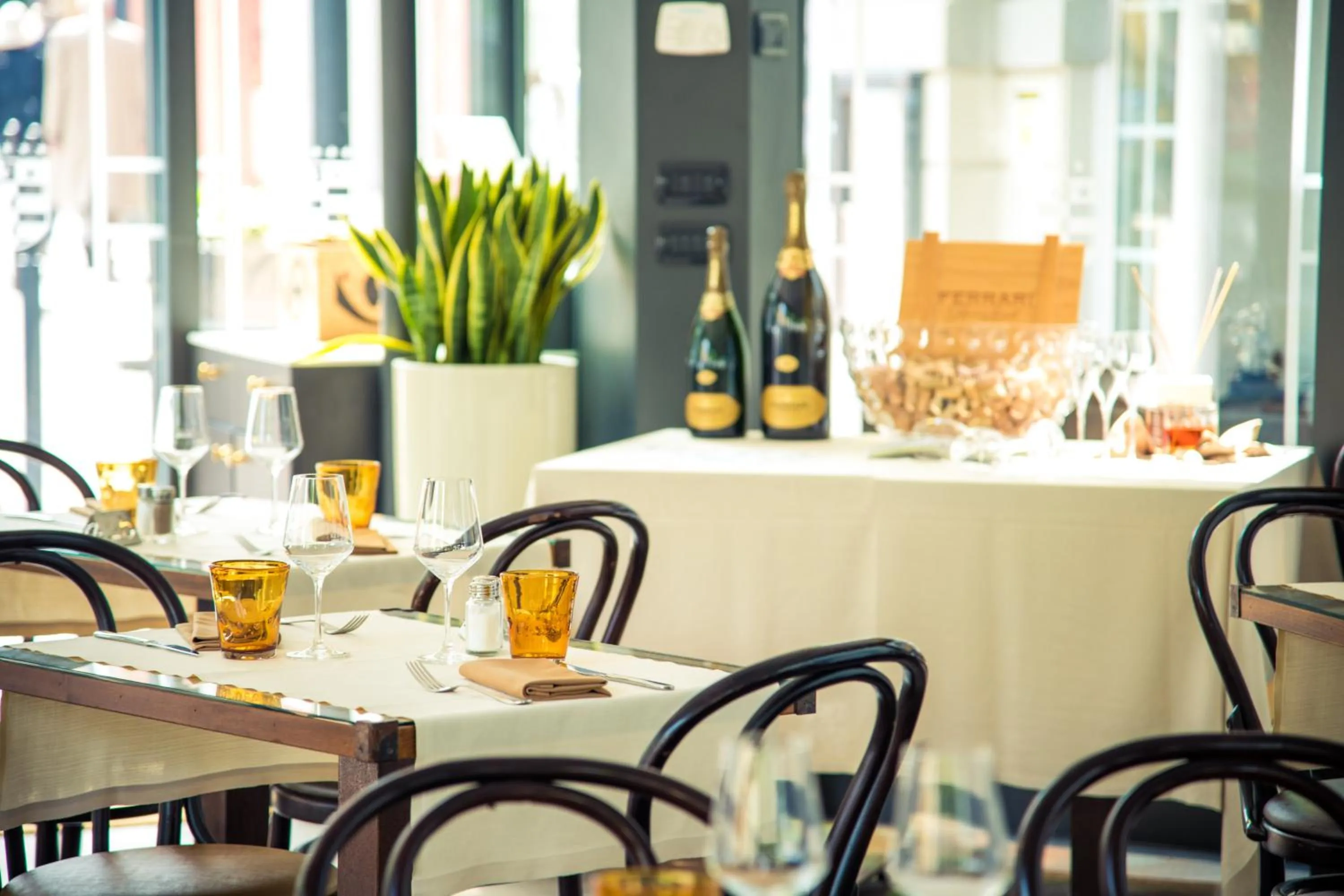 Restaurant/places to eat in Hotel Royal Victoria, by R Collection Hotels