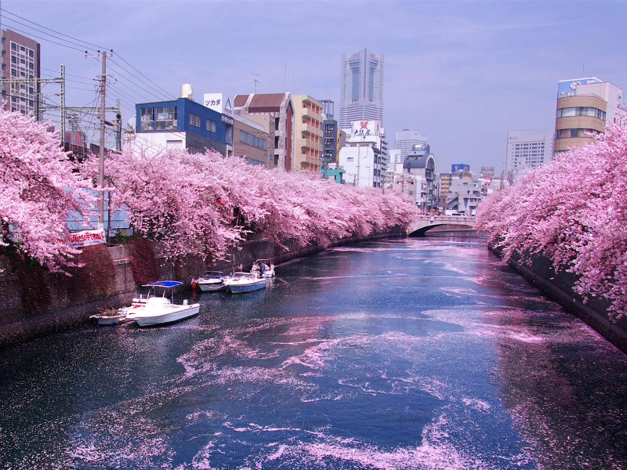 Seasons in Guest House FUTARENO