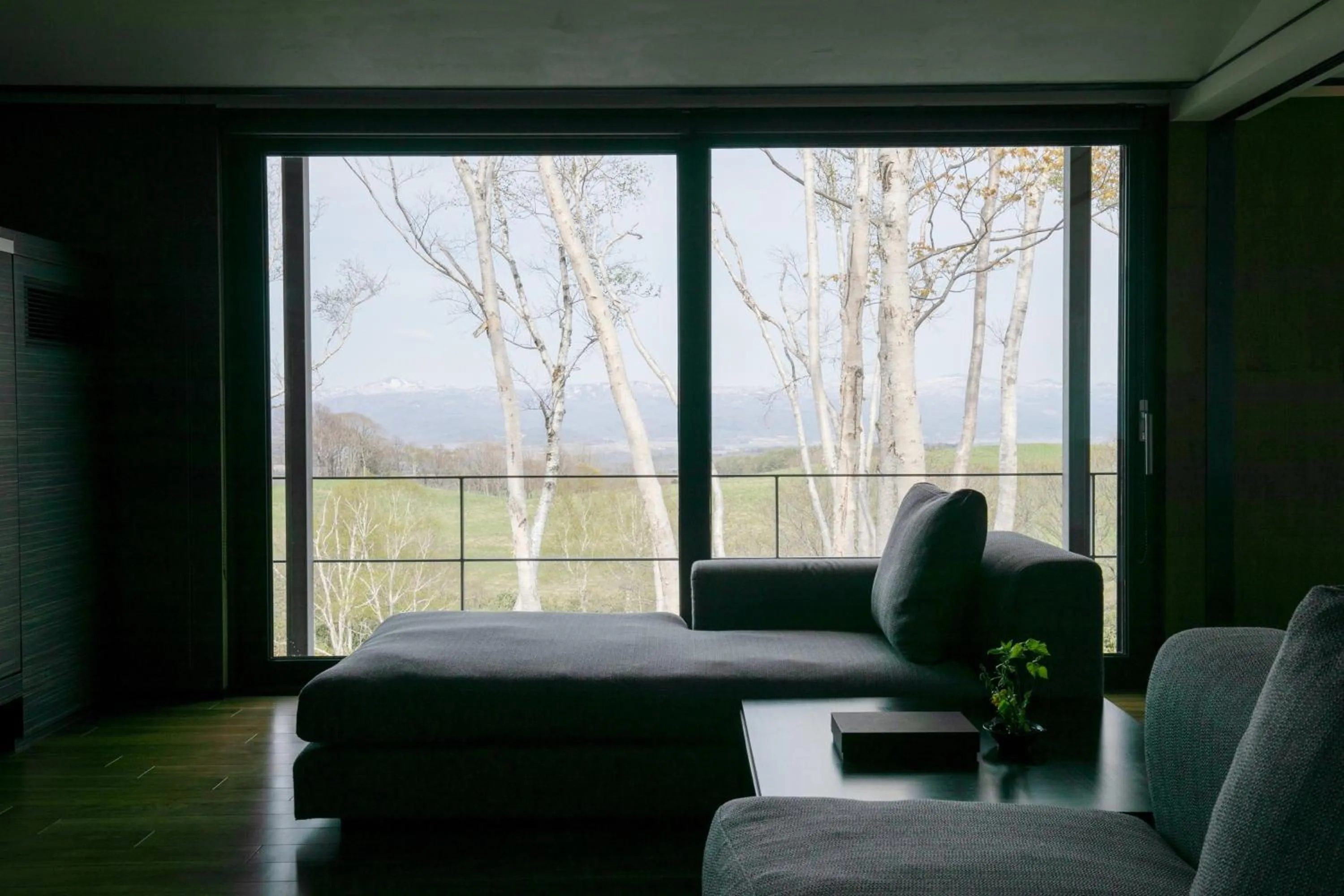 Photo of the whole room in Zaborin