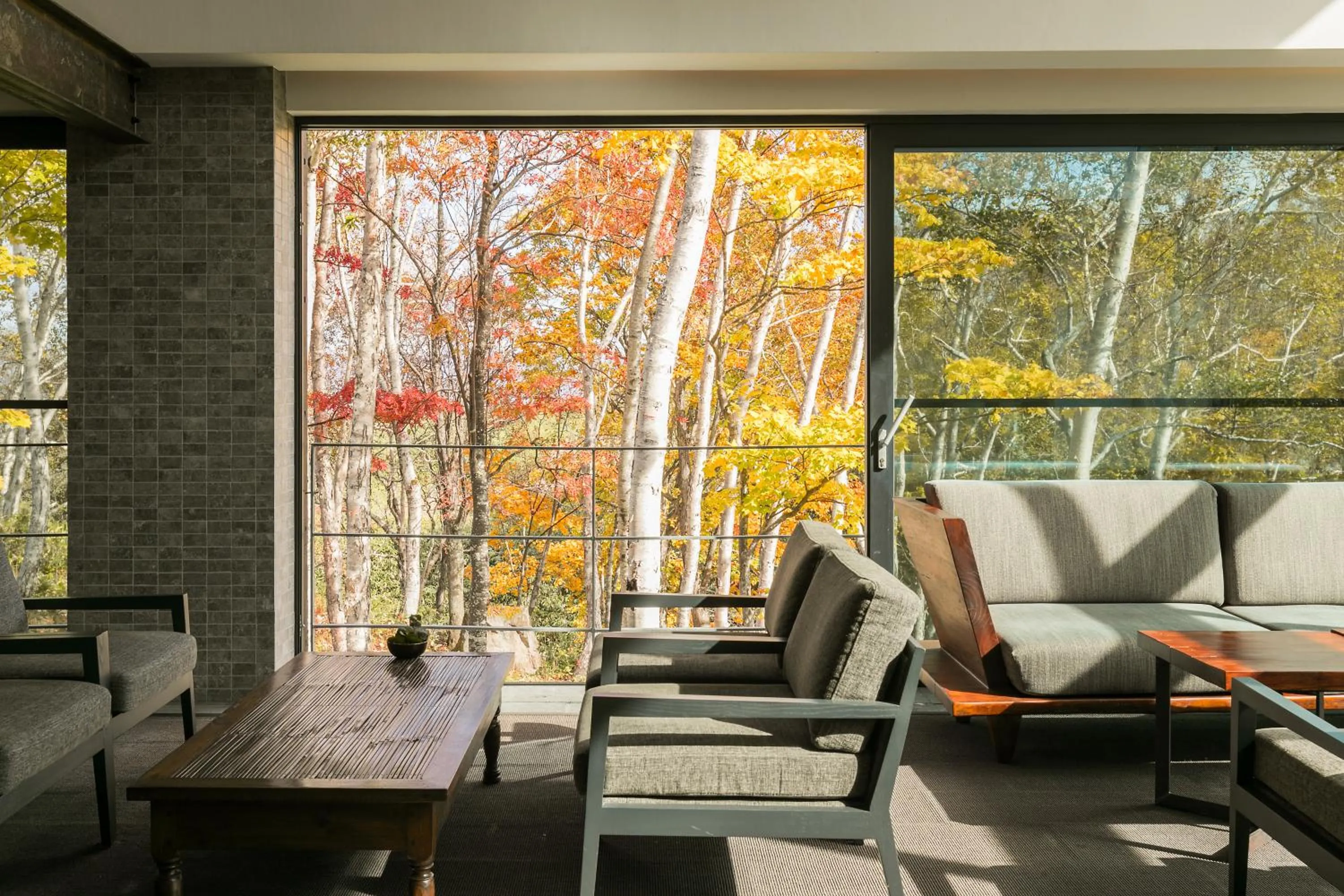 Lounge or bar in Zaborin