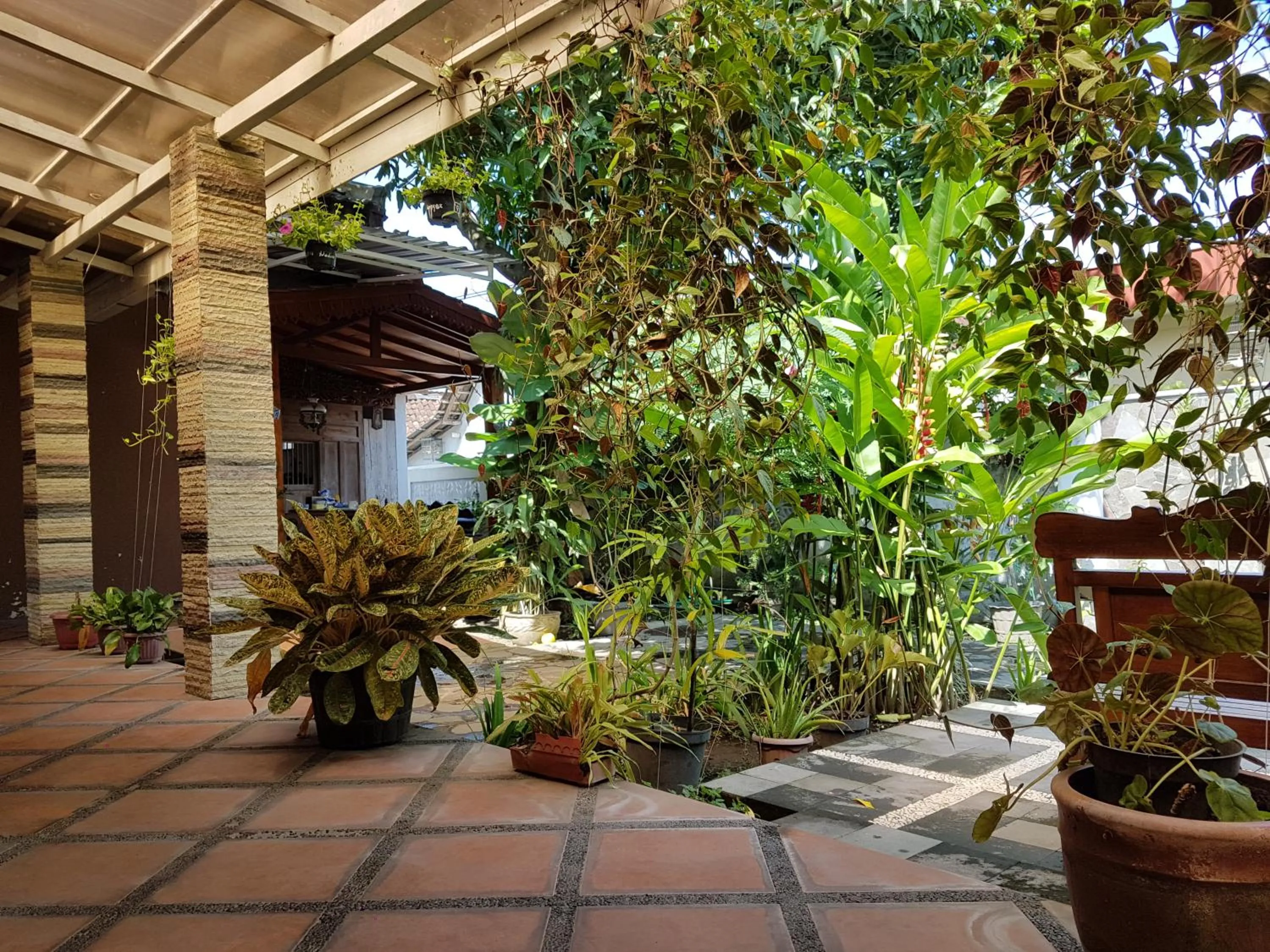 Garden view in Omah Konco Yogyakarta