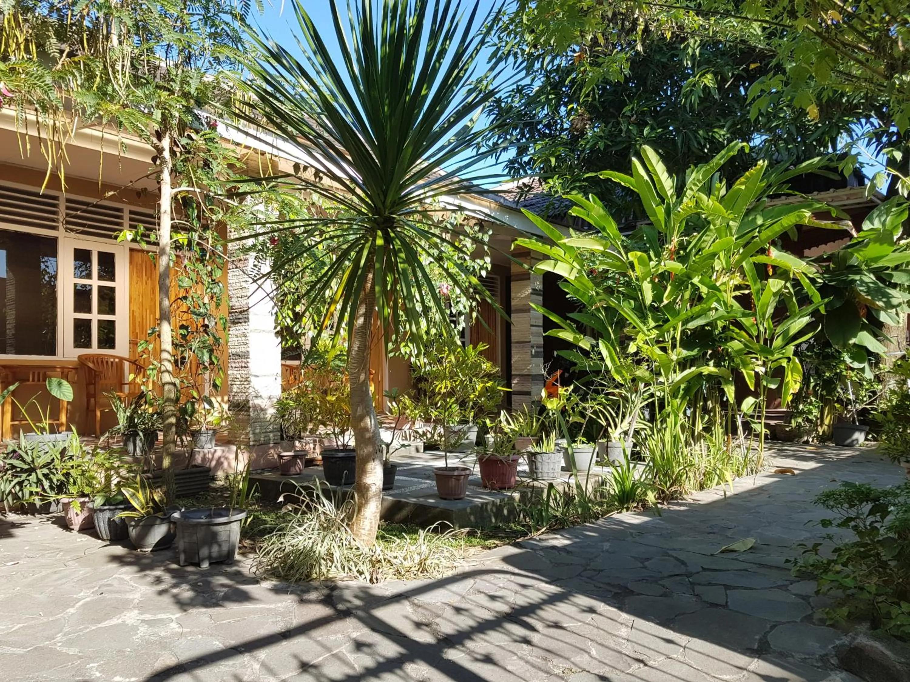 Garden in Omah Konco Yogyakarta