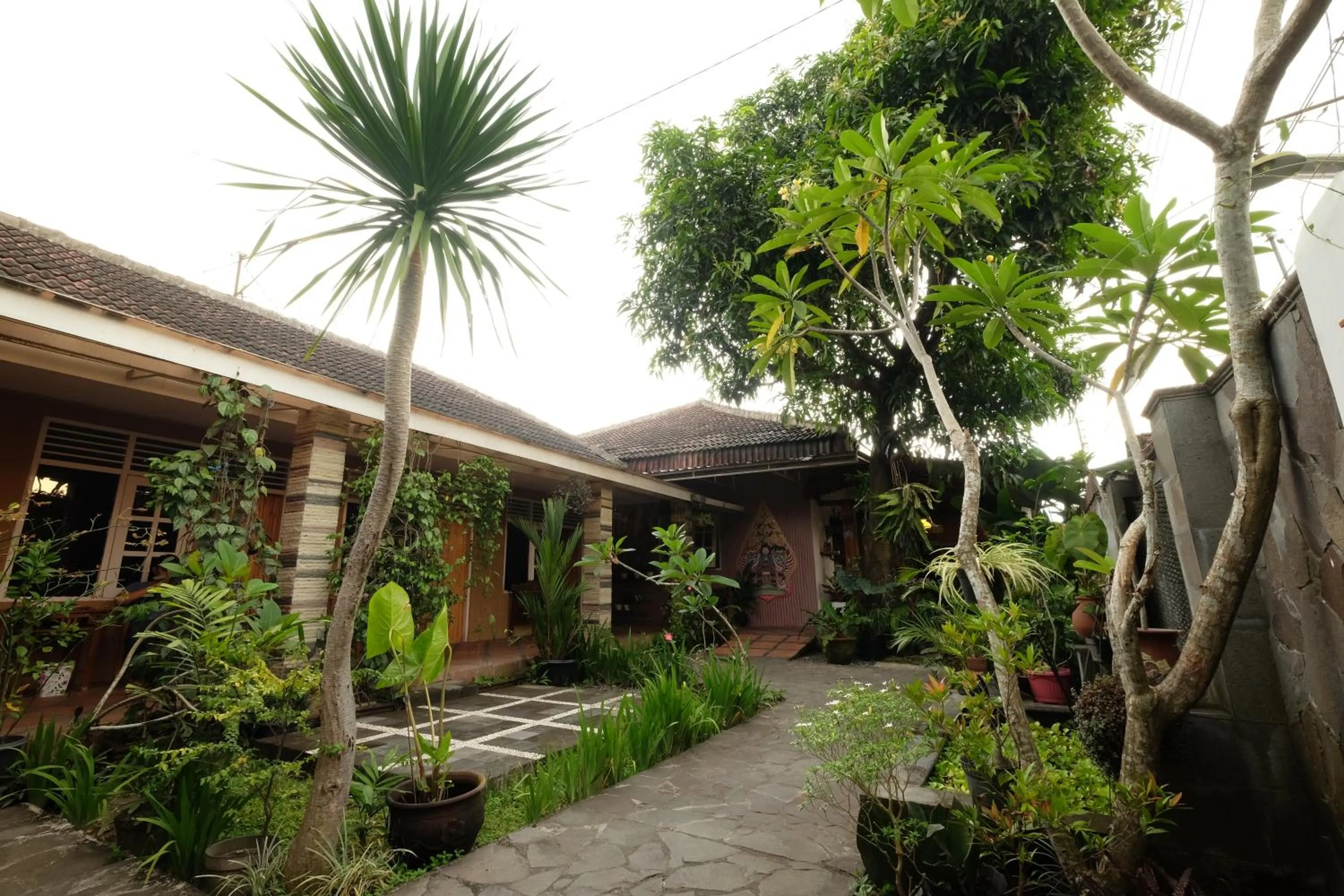 Garden in Omah Konco Yogyakarta