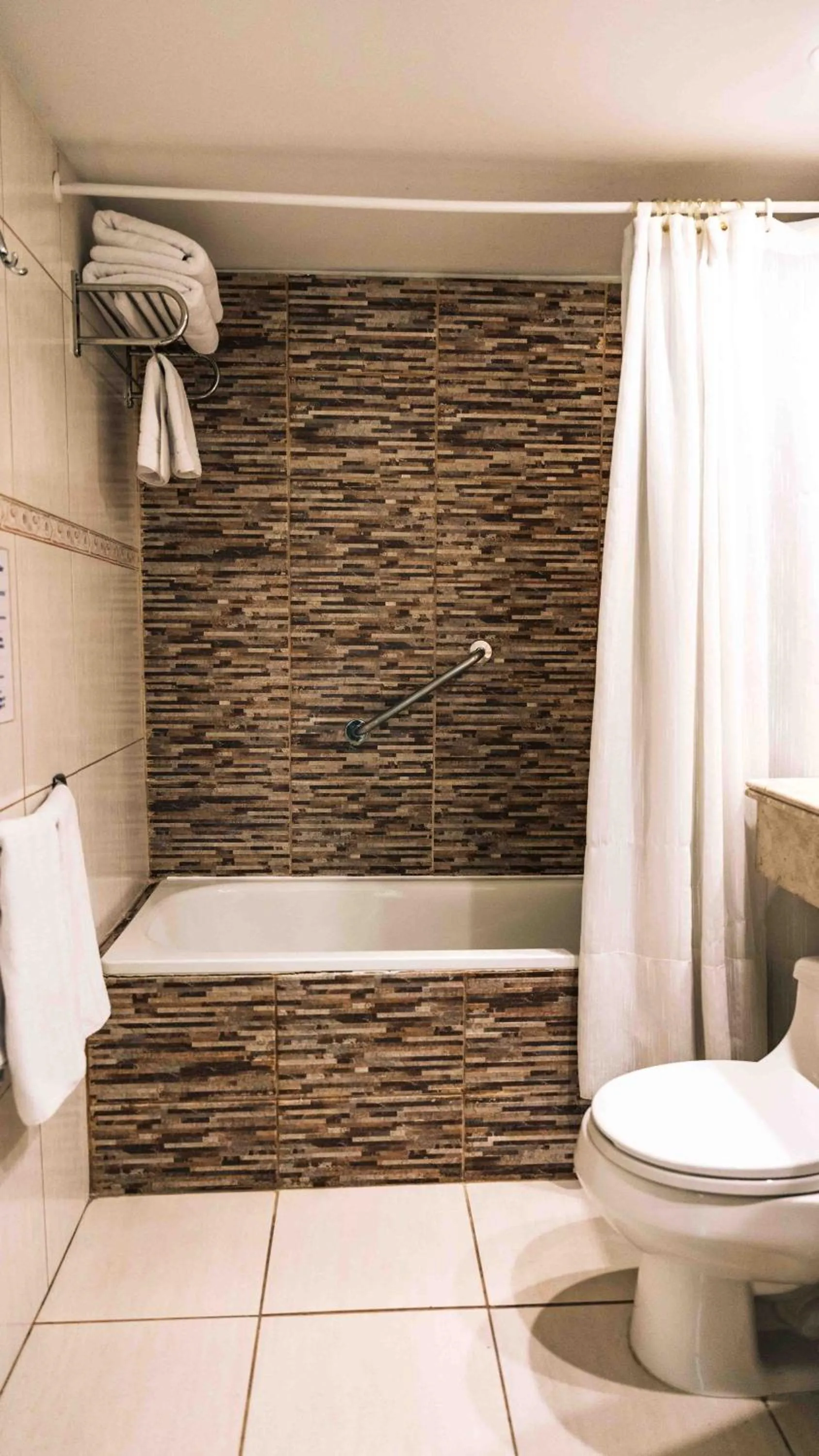 Toilet in Hotel Eurotel El Bosque