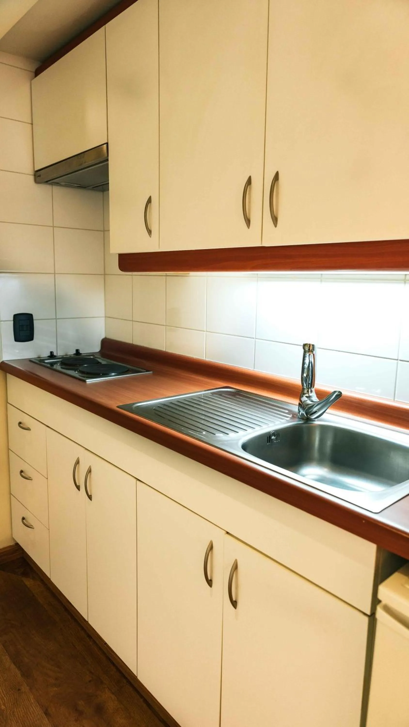 Kitchen or kitchenette in Hotel Eurotel El Bosque