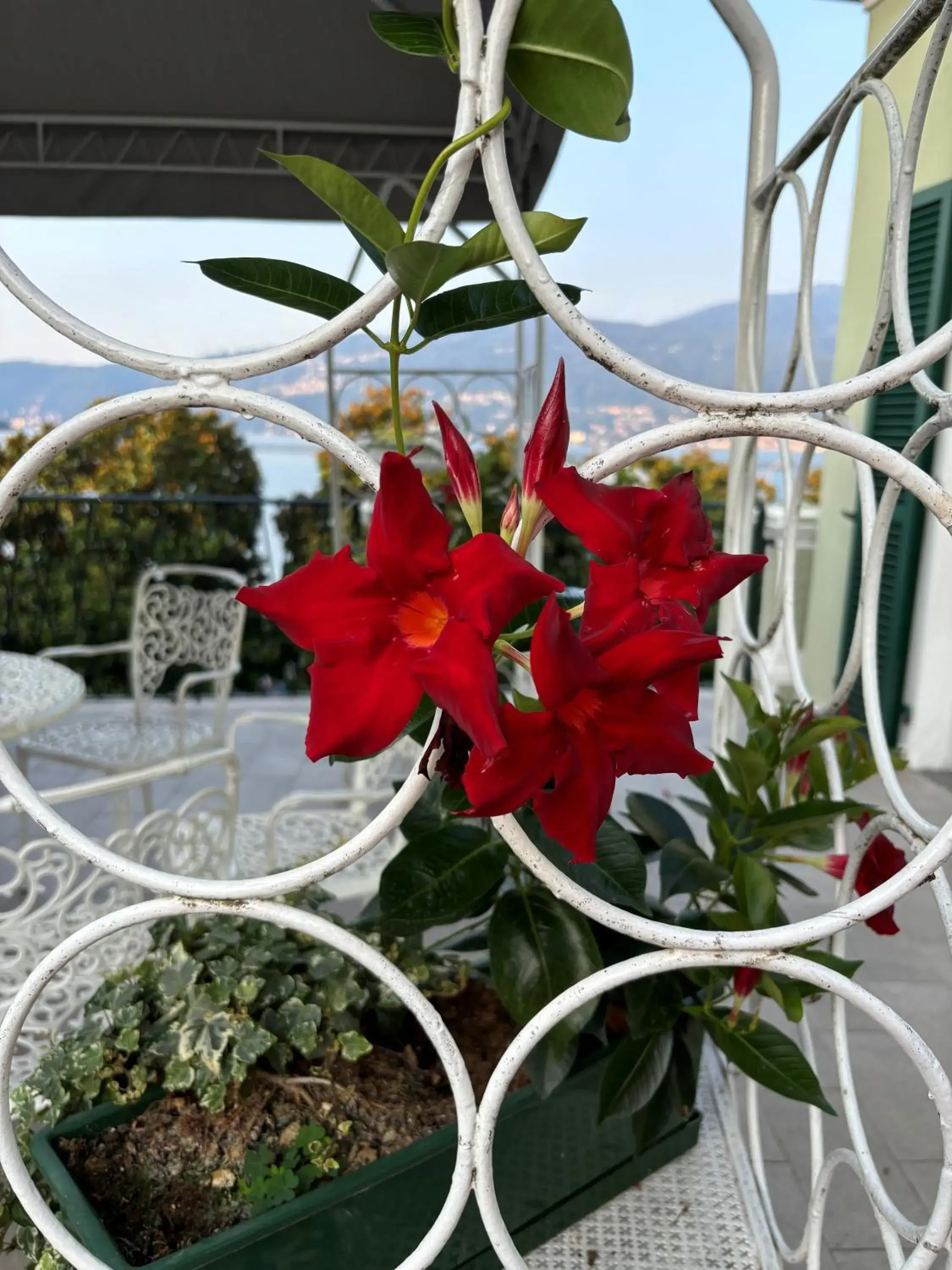 Bird's eye view in Albergo Pesce D'oro Bird's eye view in Albergo Pesce D'oro