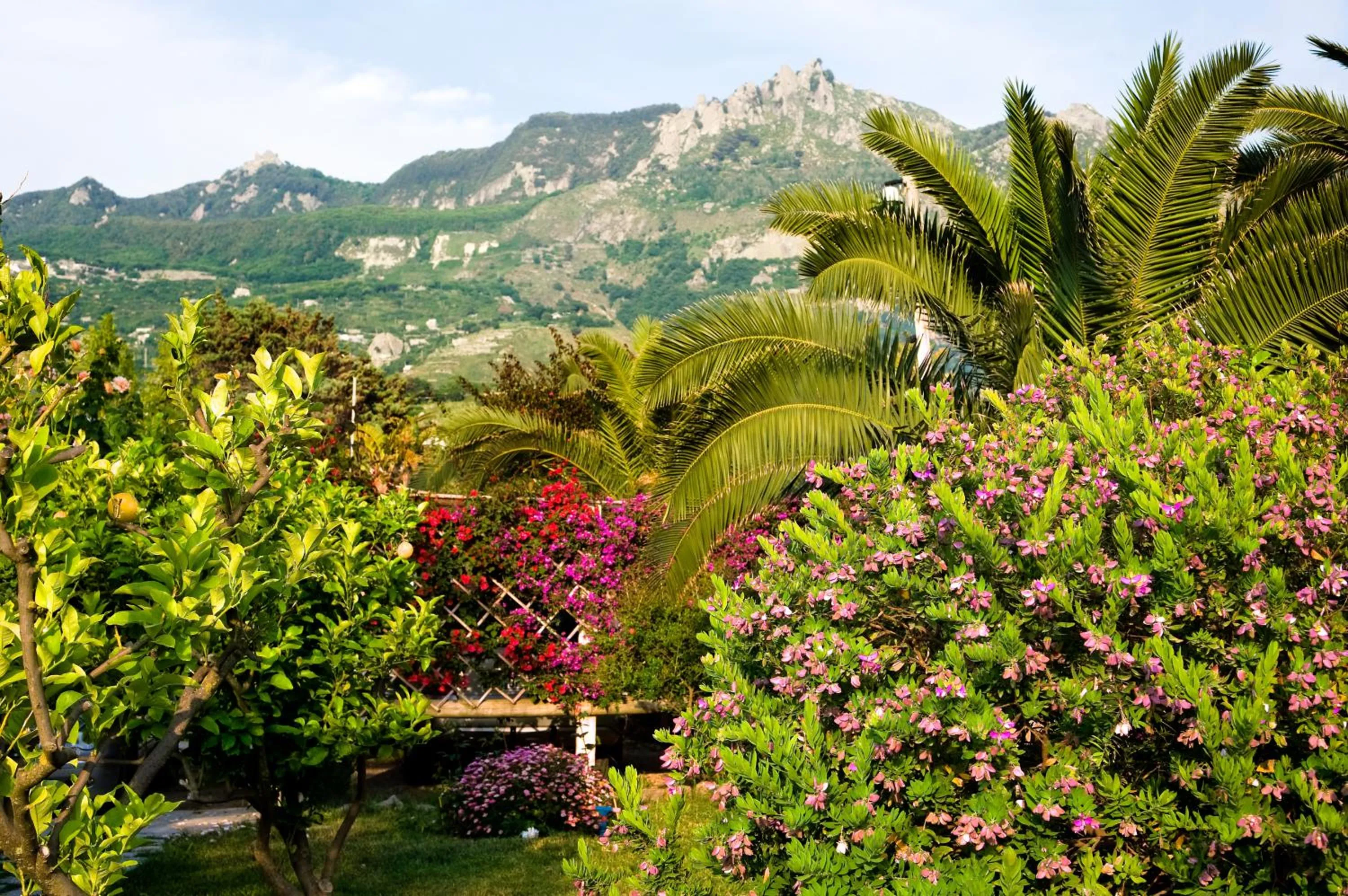 Garden in Hotel Terme Providence
