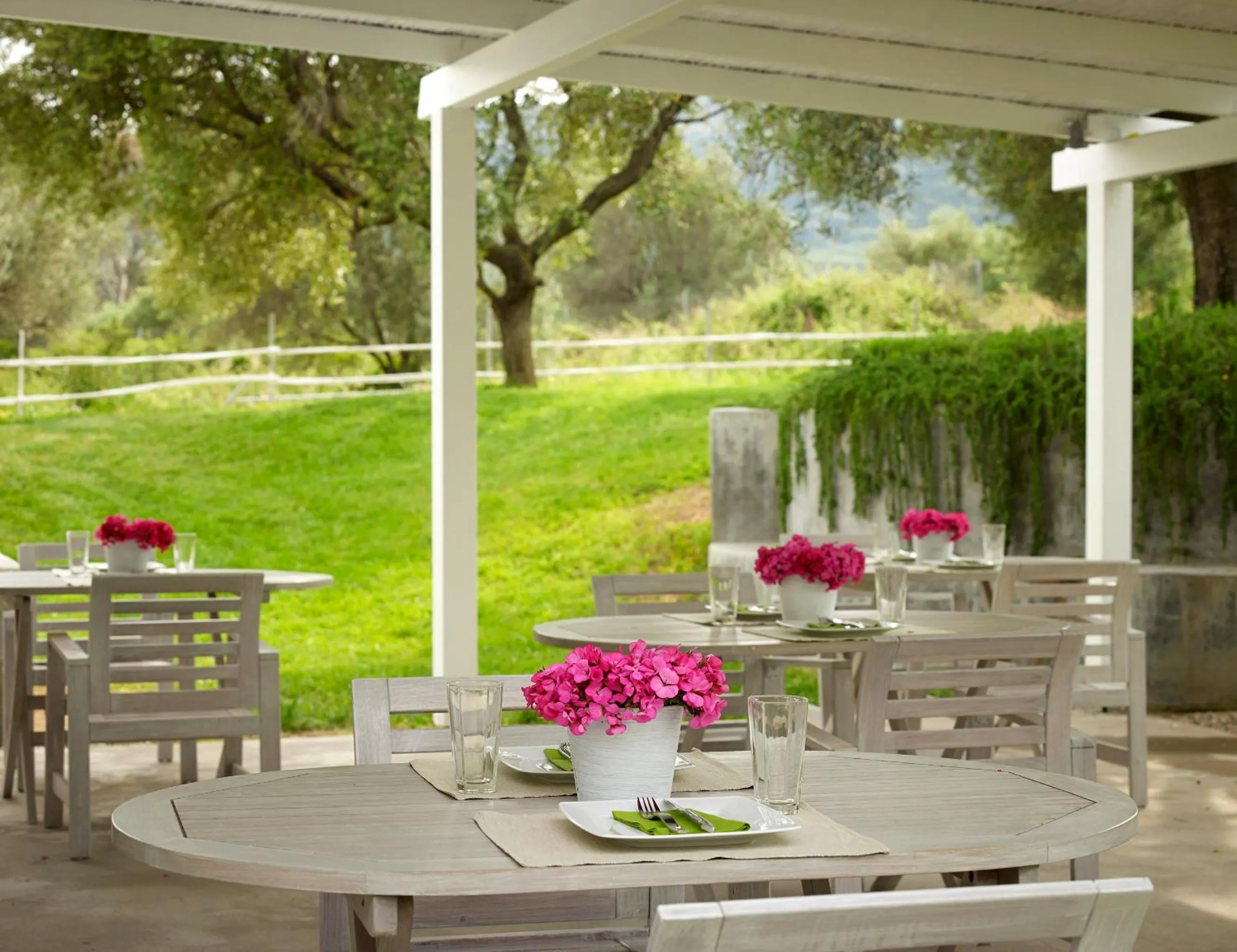 Restaurant/places to eat in Olivemare