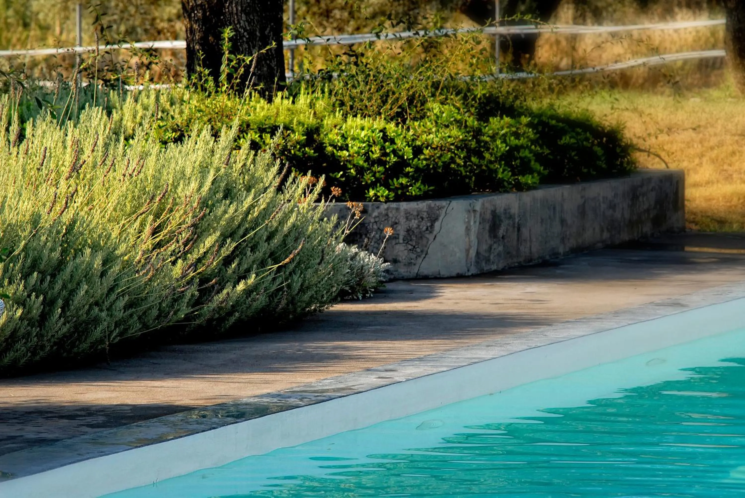 Facade/entrance in Olivemare