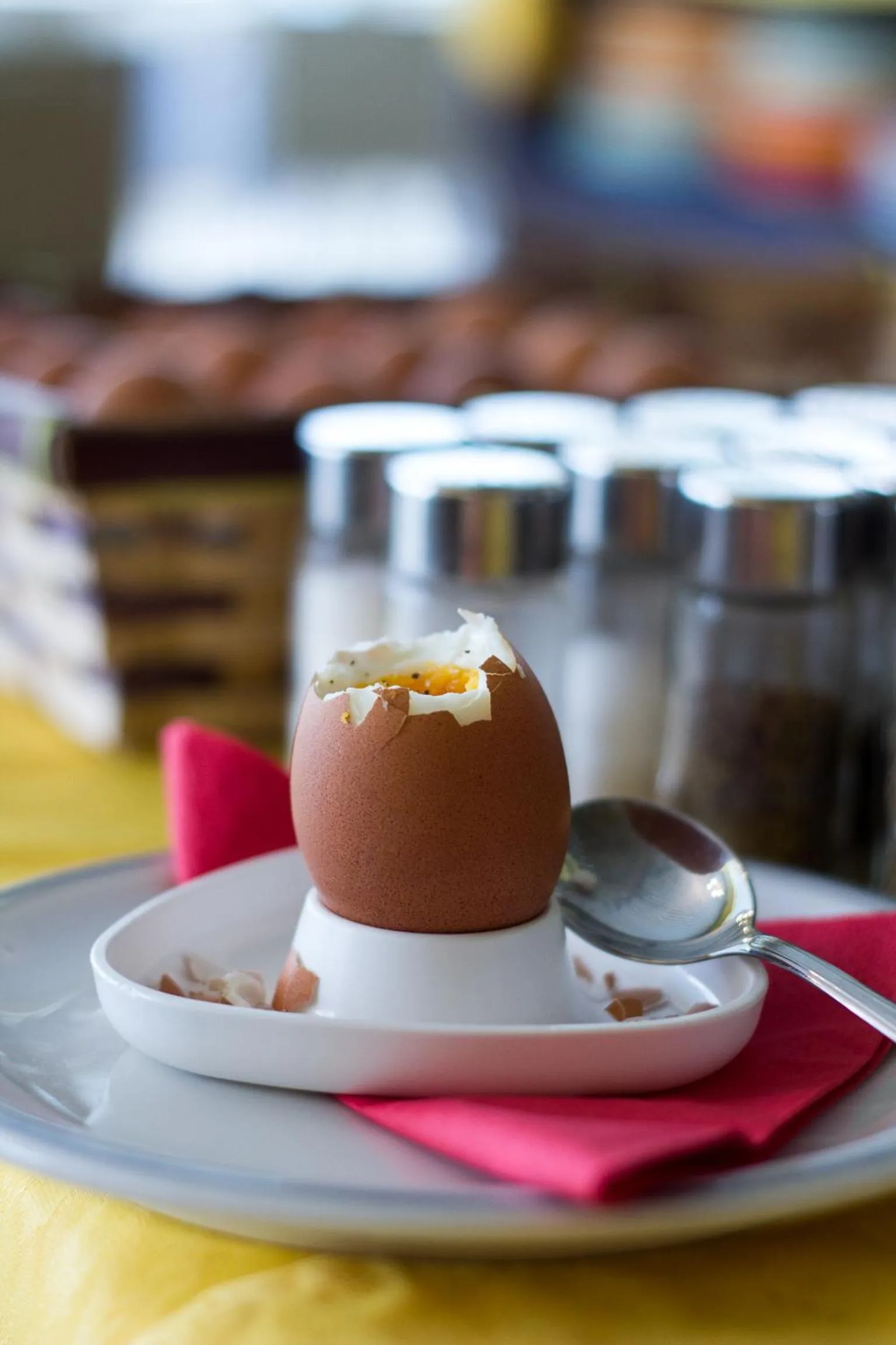 Food and drinks in Hotel Elvia