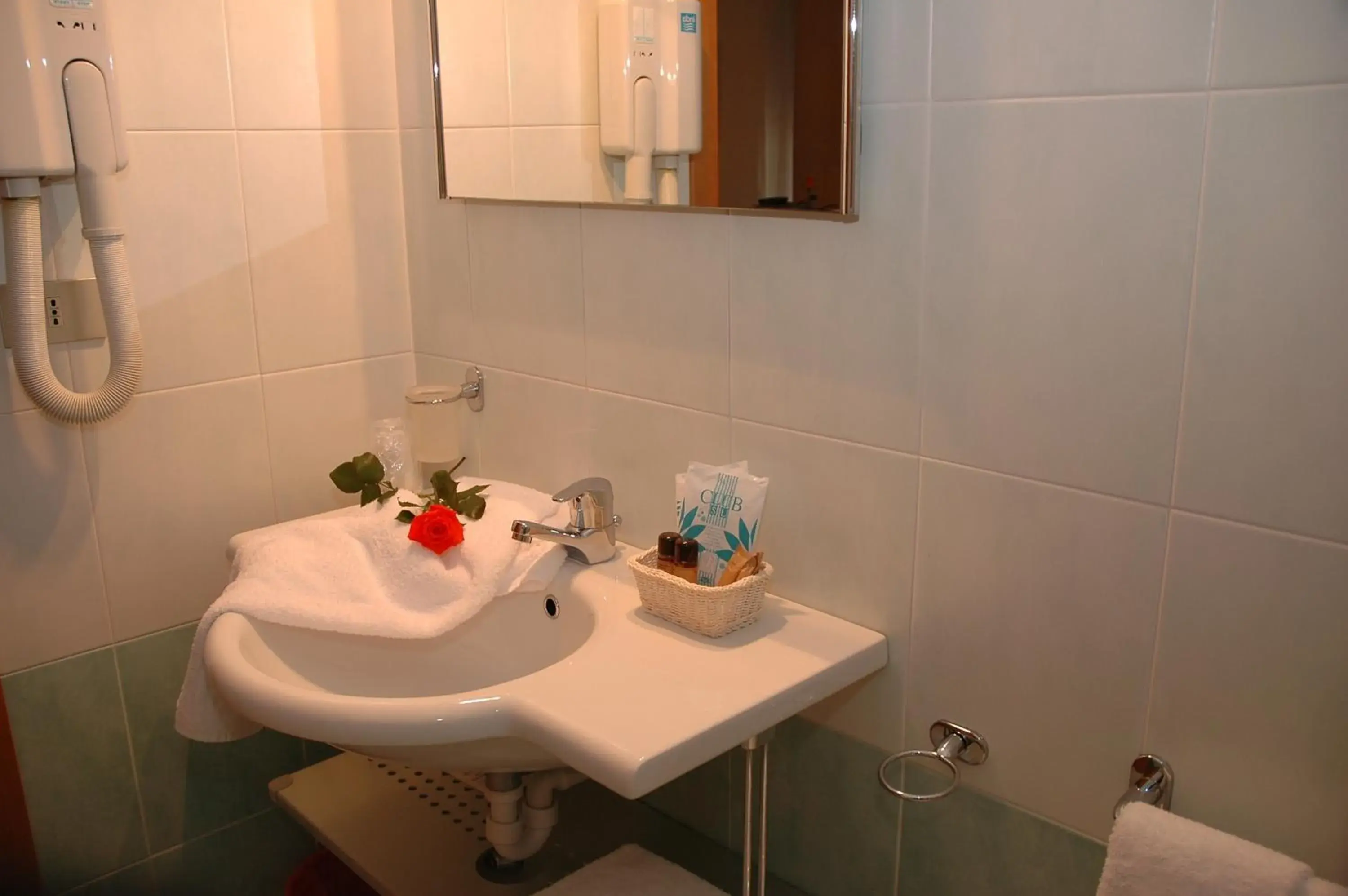 Single Room in Hotel Elvia Single Room in Hotel Elvia