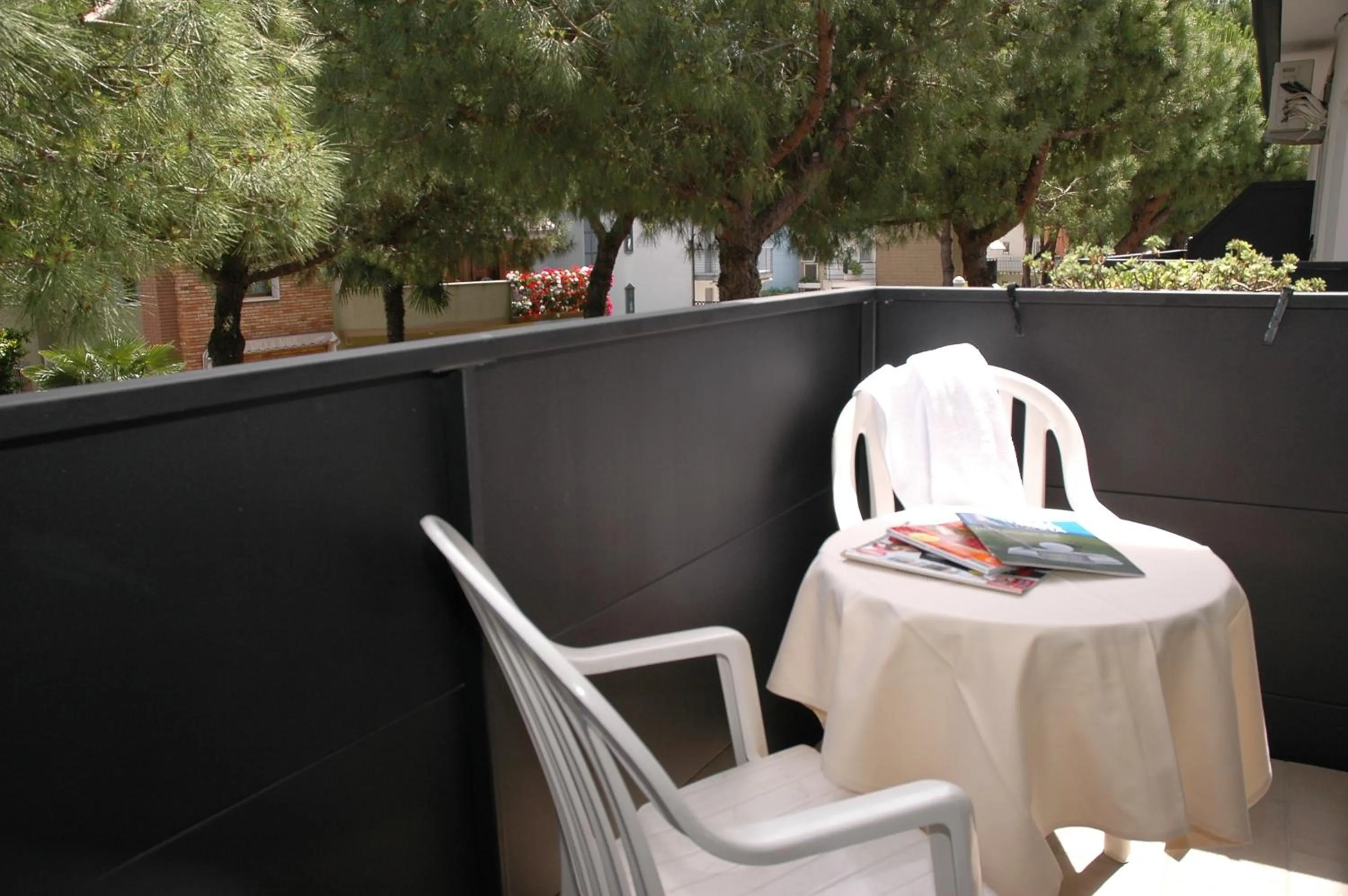 Balcony/Terrace in Hotel Elvia