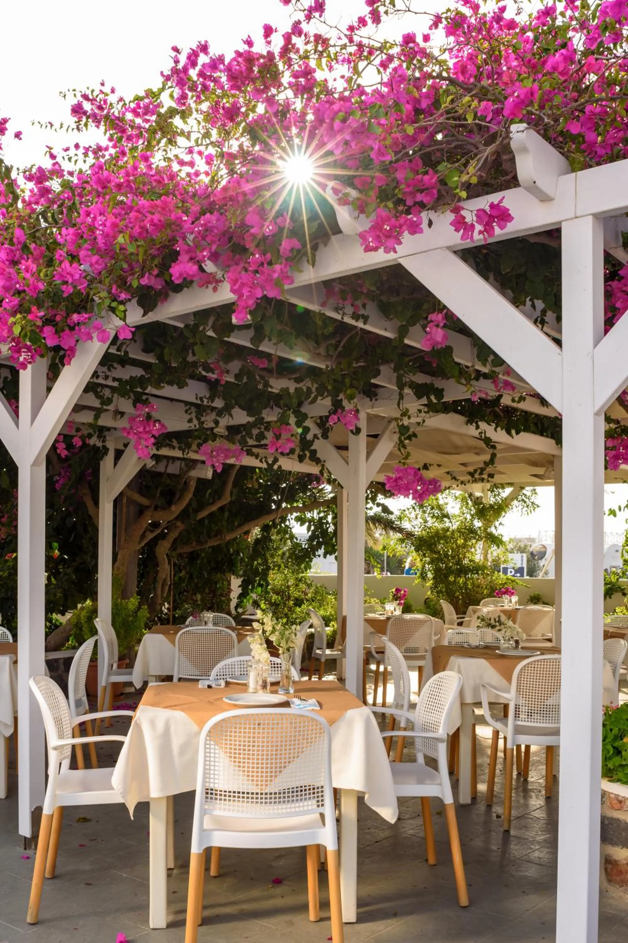 Restaurant/places to eat in Anemomilos