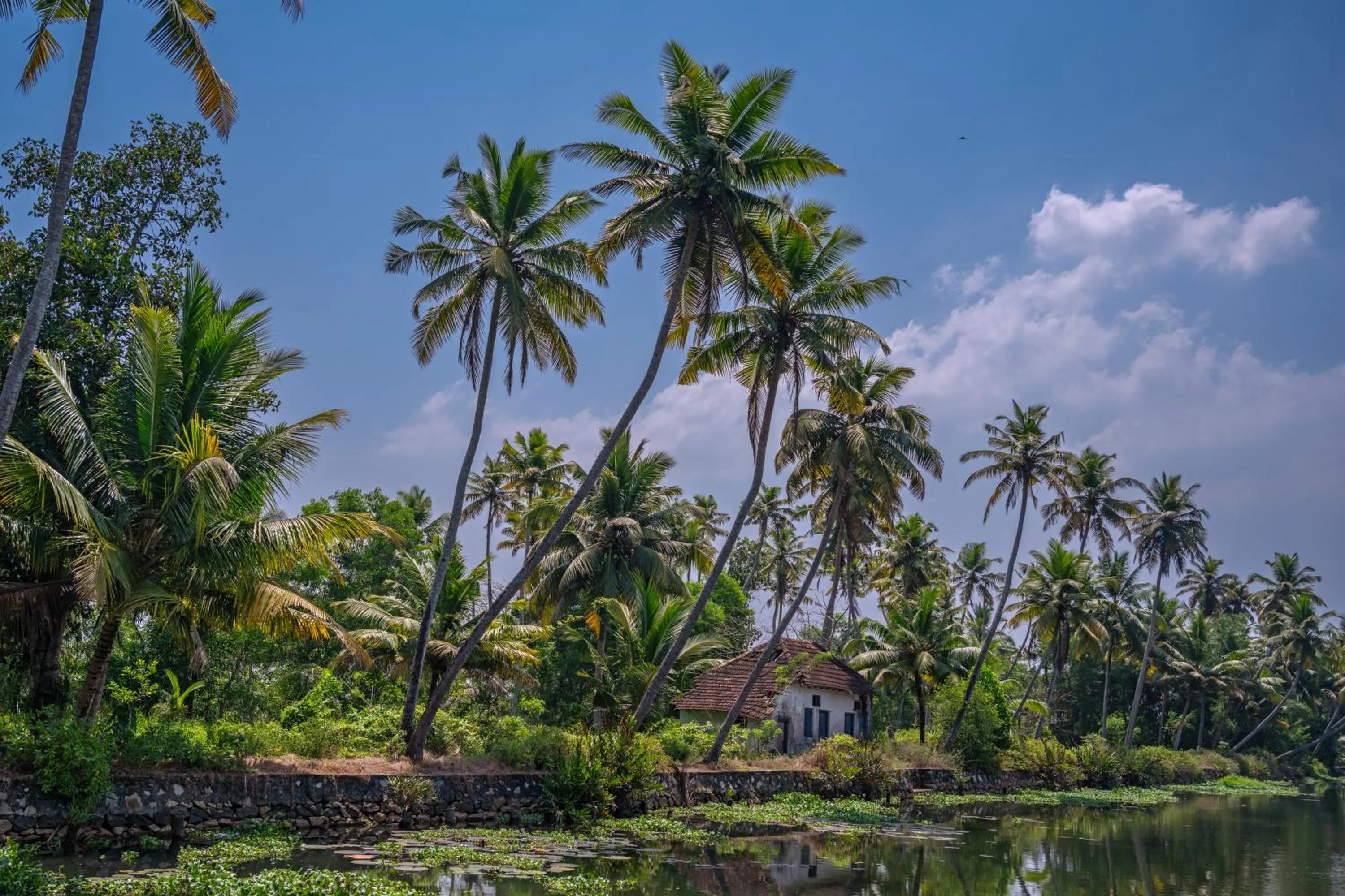 Spice Coast Cruises - Houseboat, A CGH Earth Experience