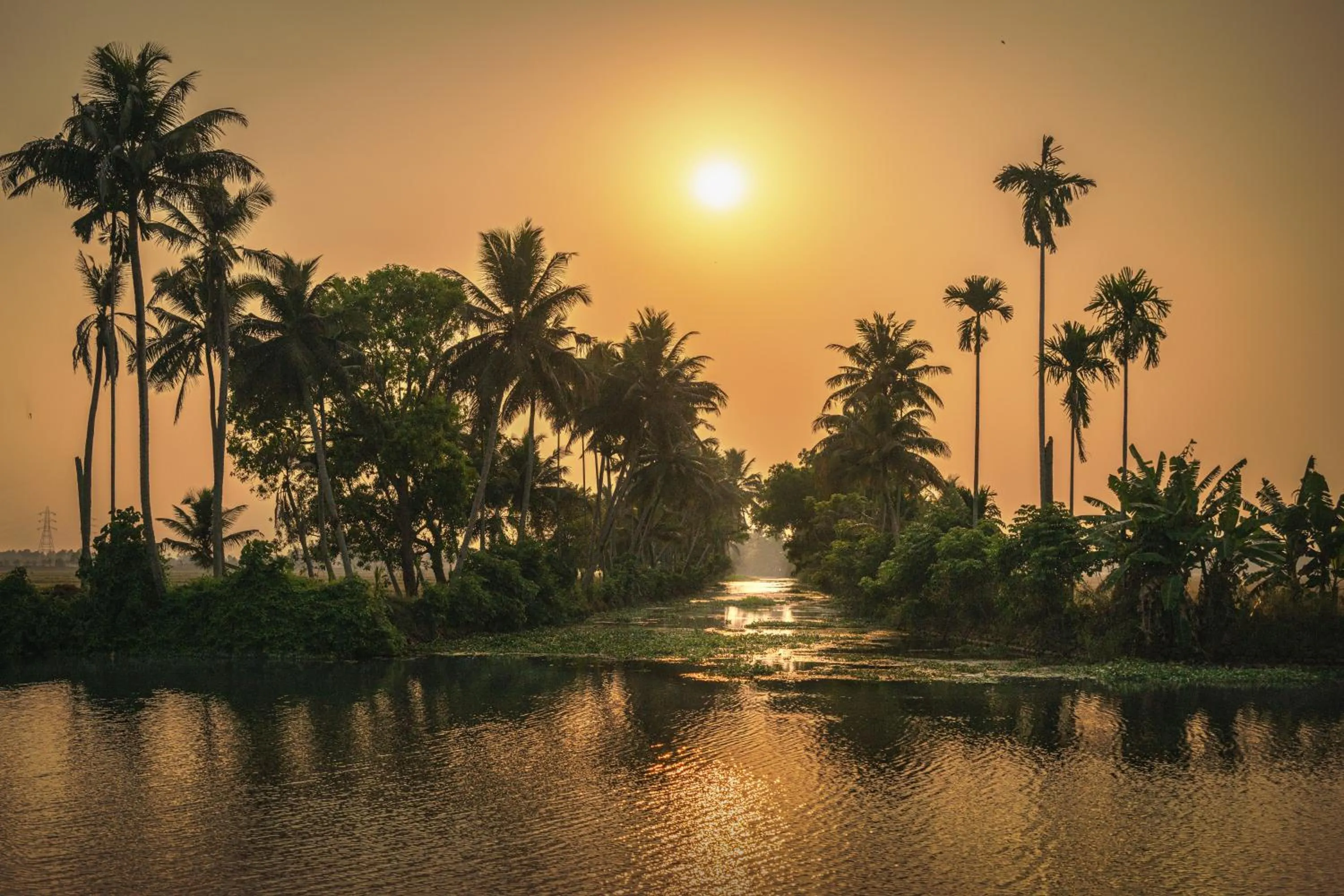 Spice Coast Cruises - Houseboat, A CGH Earth Experience