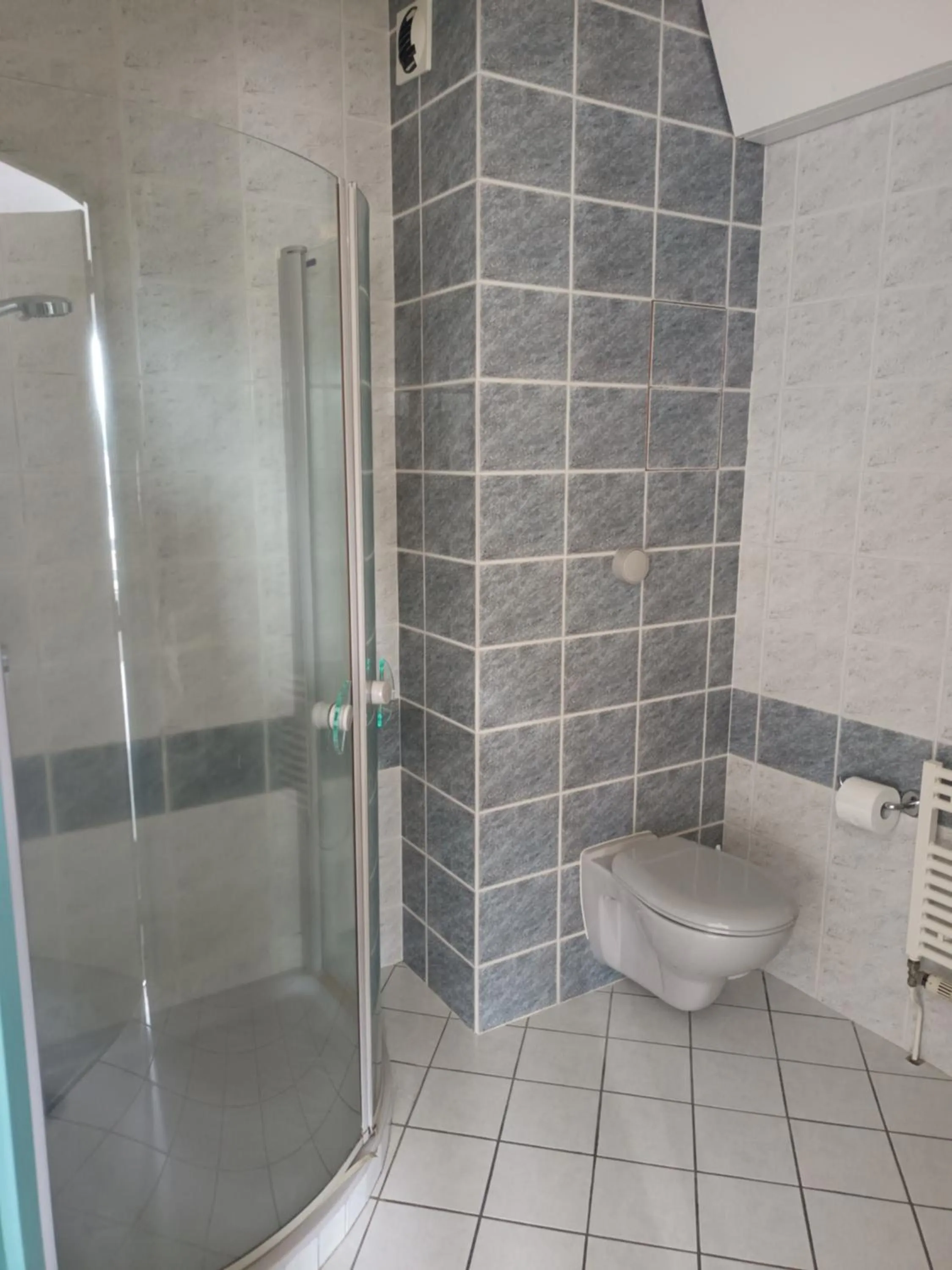 Bathroom in Hôtel-Restaurant Logis l'Aubrac Laguiole