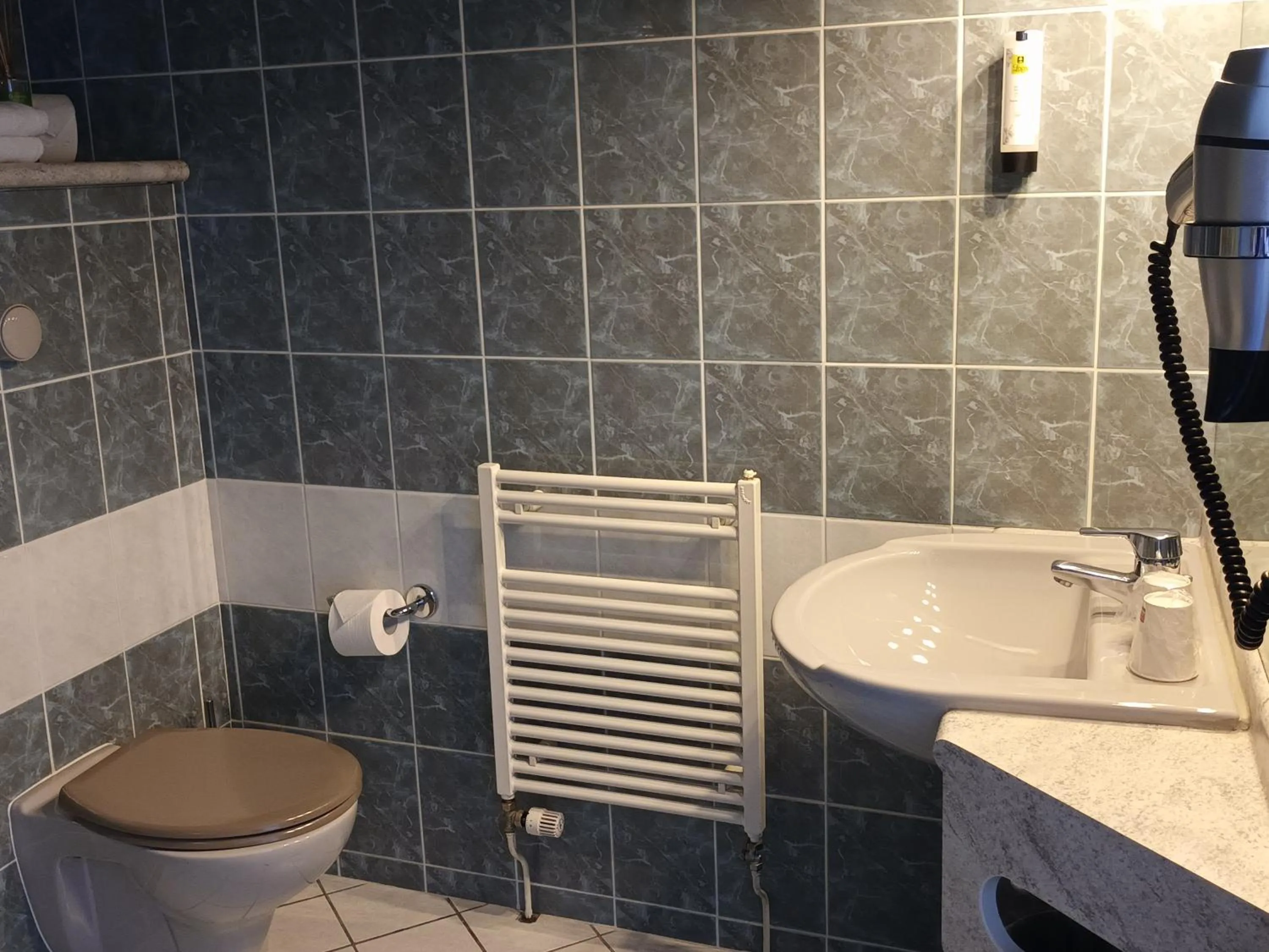 Bathroom in Hôtel-Restaurant Logis l'Aubrac Laguiole