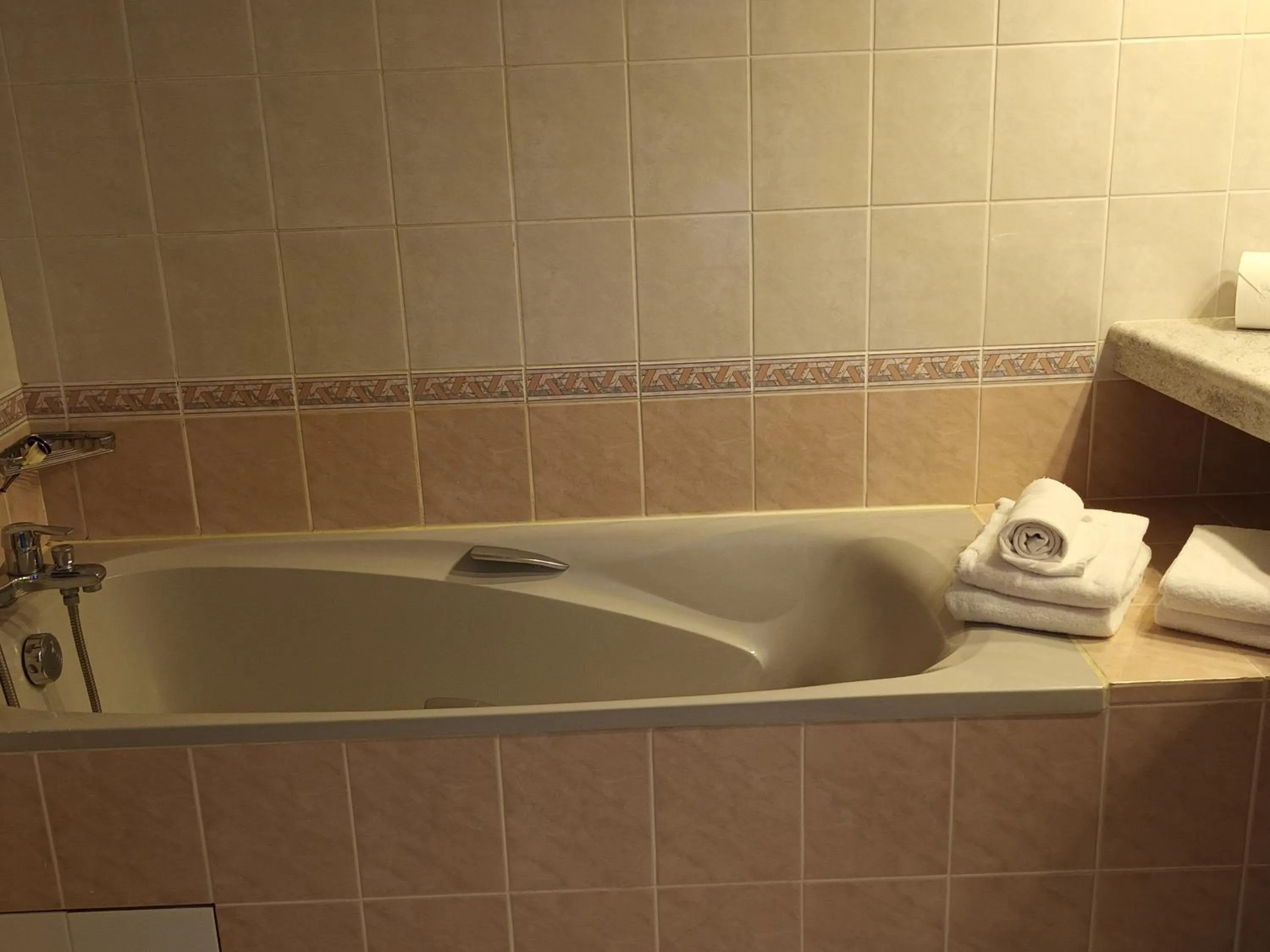 Bath in Hôtel-Restaurant Logis l'Aubrac Laguiole