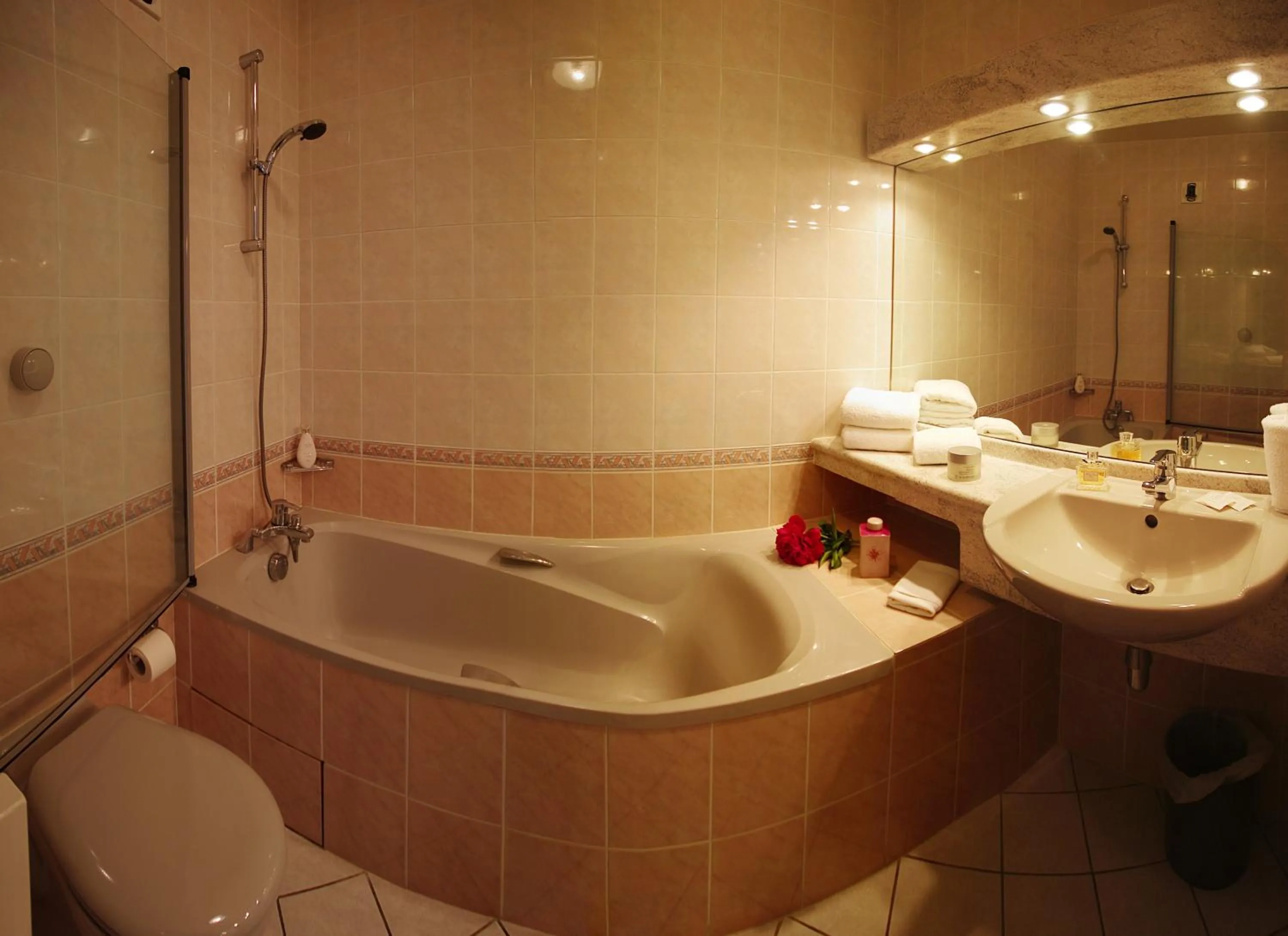 Bathroom in Hôtel-Restaurant Logis l'Aubrac Laguiole
