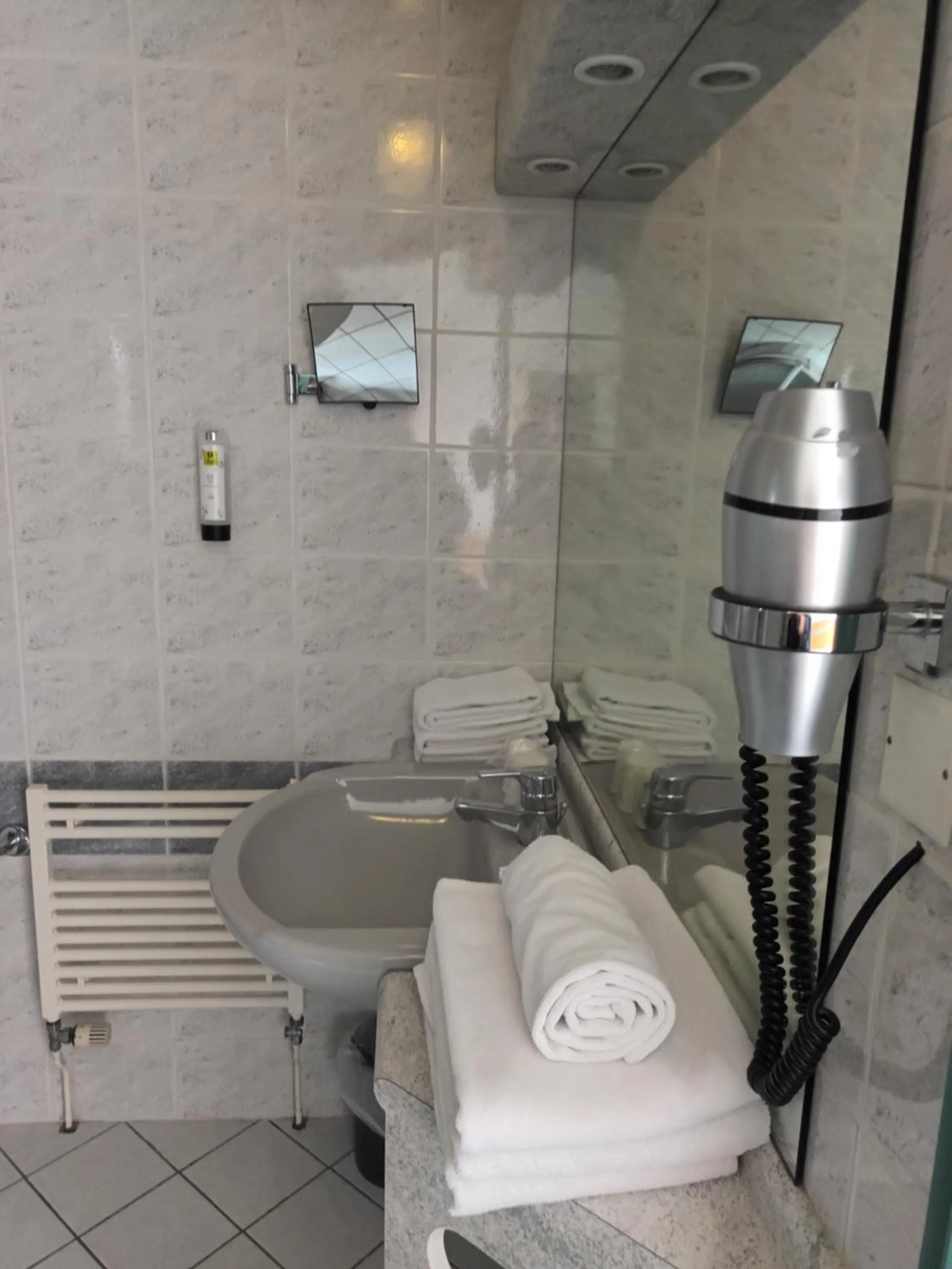 Bathroom in Hôtel-Restaurant Logis l'Aubrac Laguiole