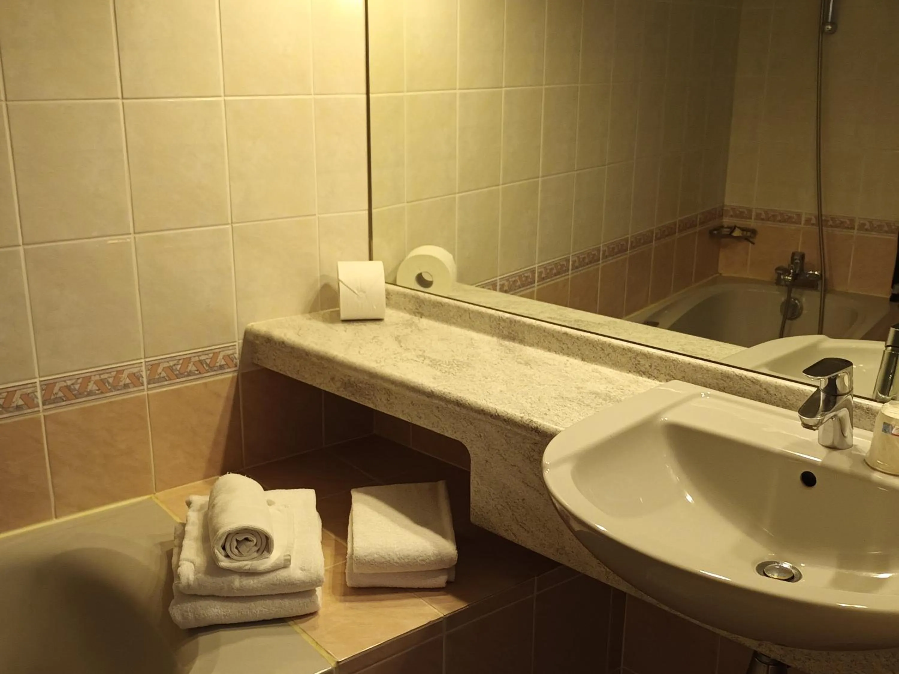 Bathroom in Hôtel-Restaurant Logis l'Aubrac Laguiole