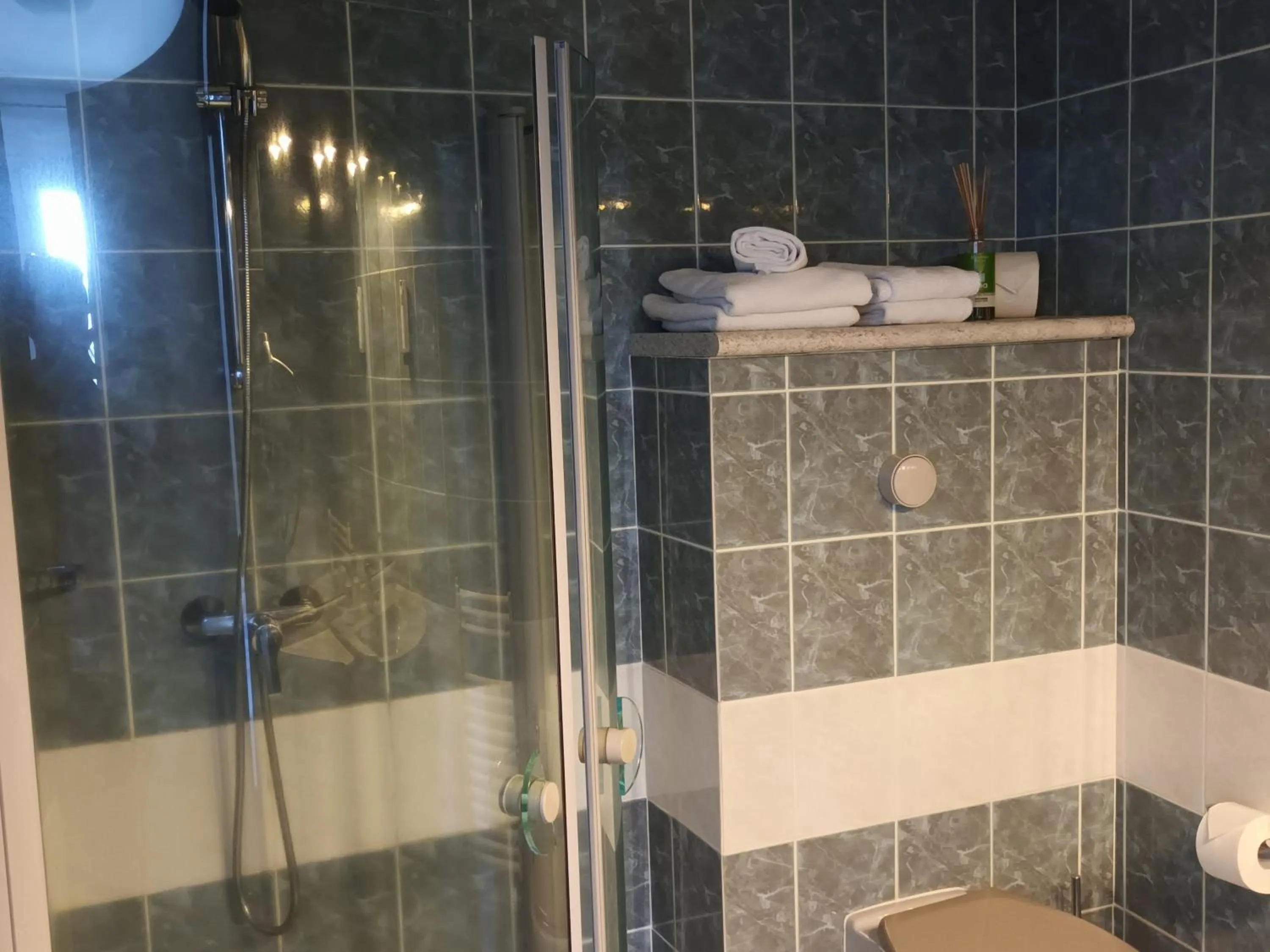 Bathroom in Hôtel-Restaurant Logis l'Aubrac Laguiole