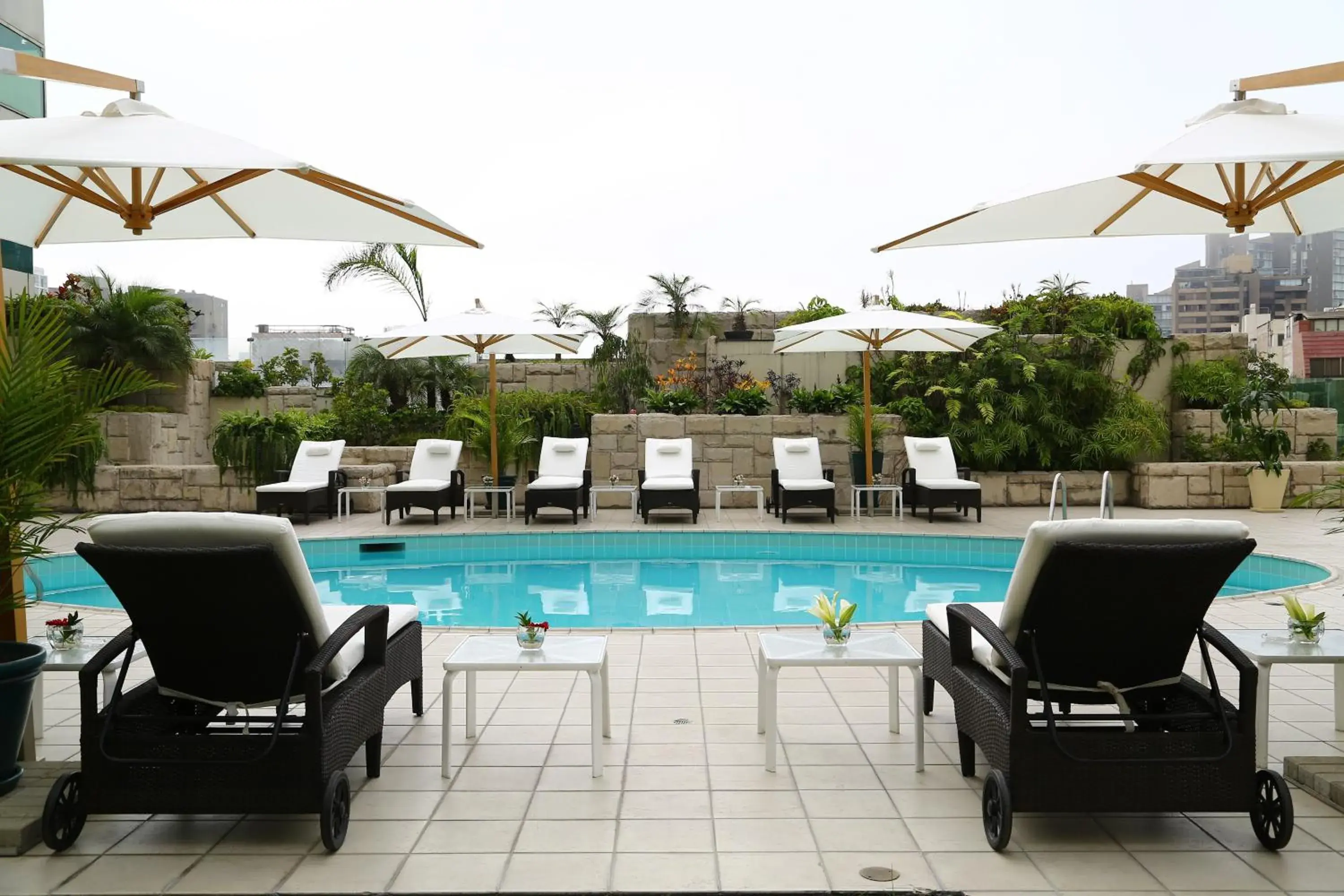 Swimming pool in Delfines Hotel & Convention Center Swimming pool in Delfines Hotel & Convention Center